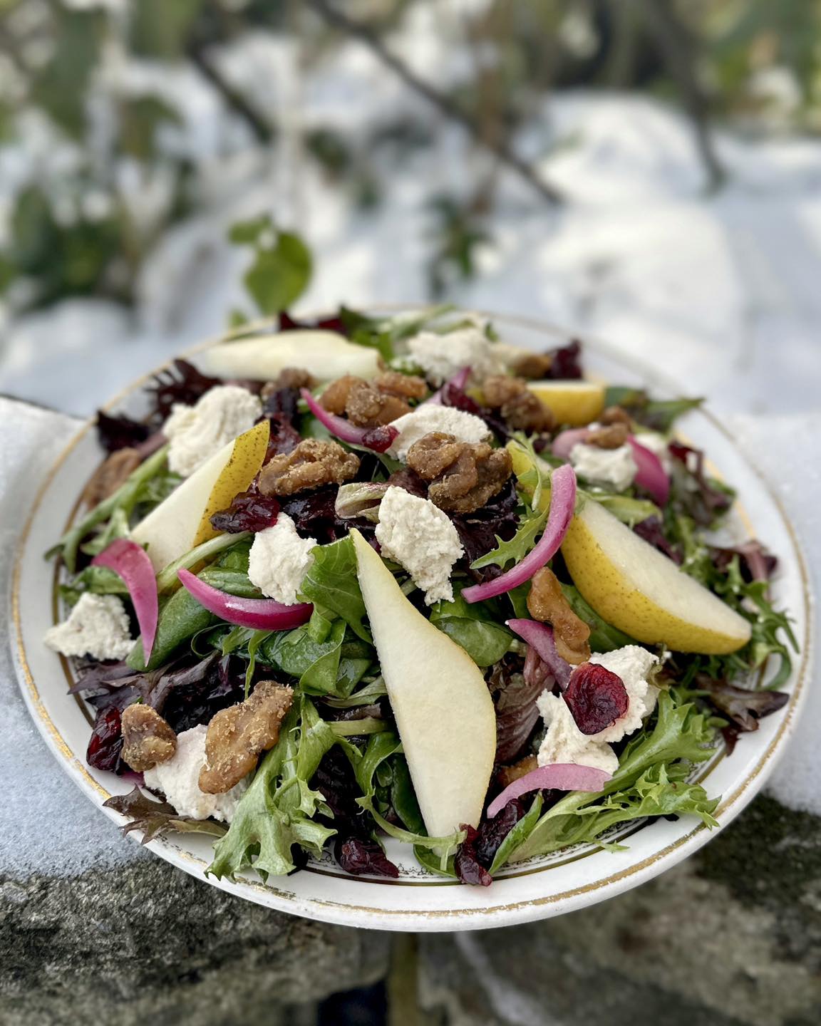 The Red Fern Rochester