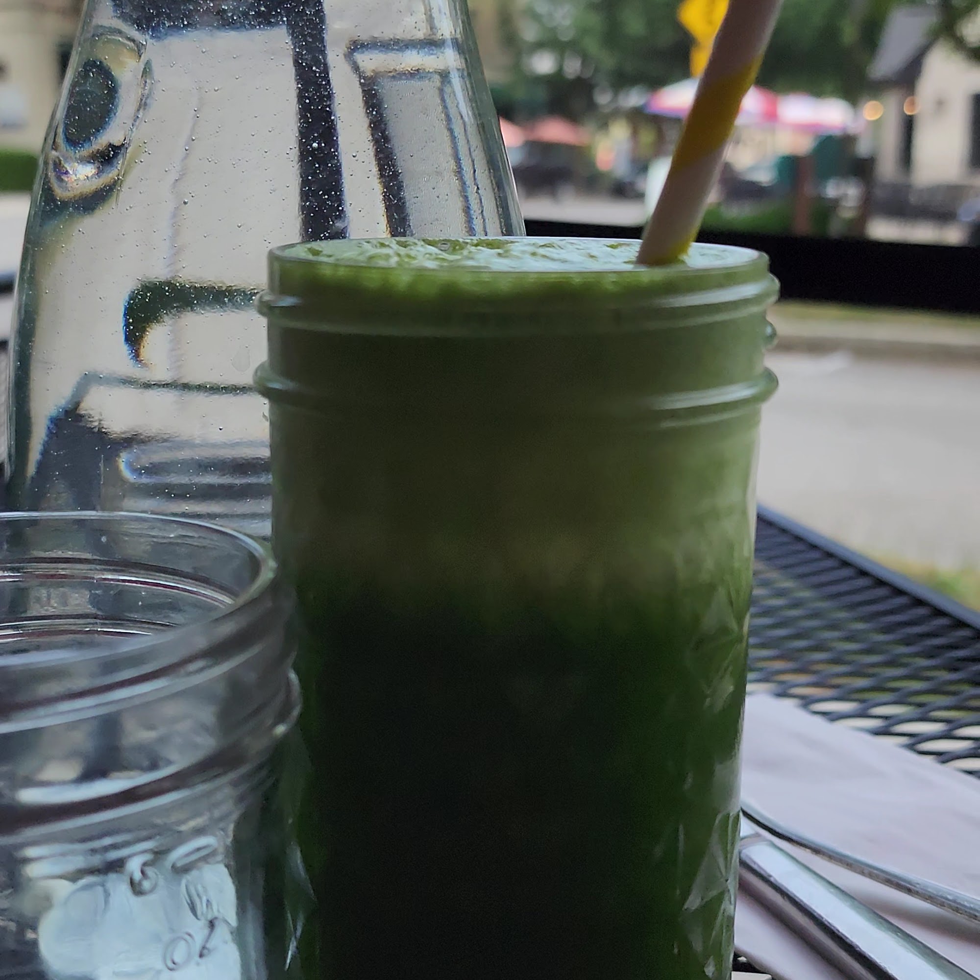 The Red Fern Rochester