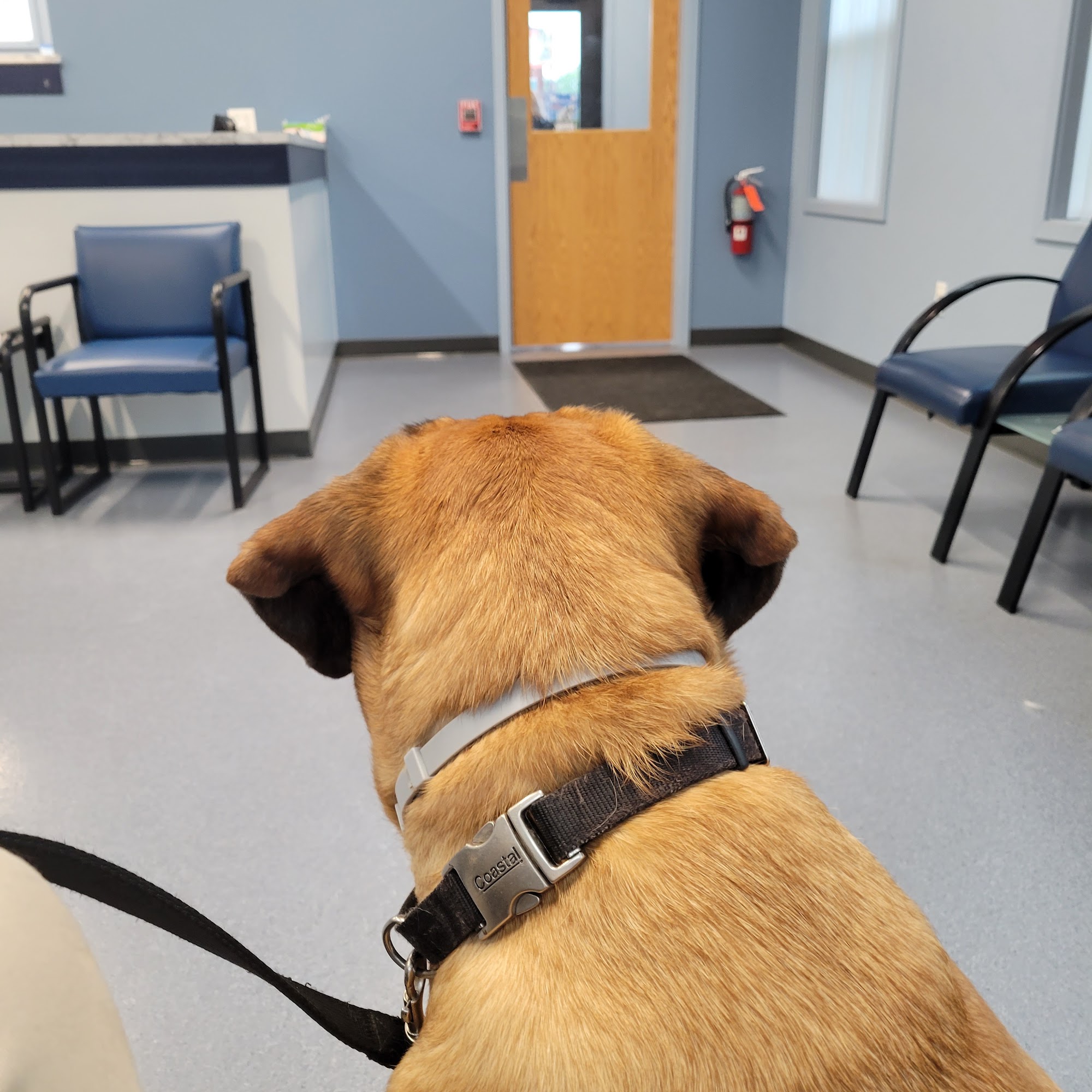 Northgate Animal Hospital Rochester