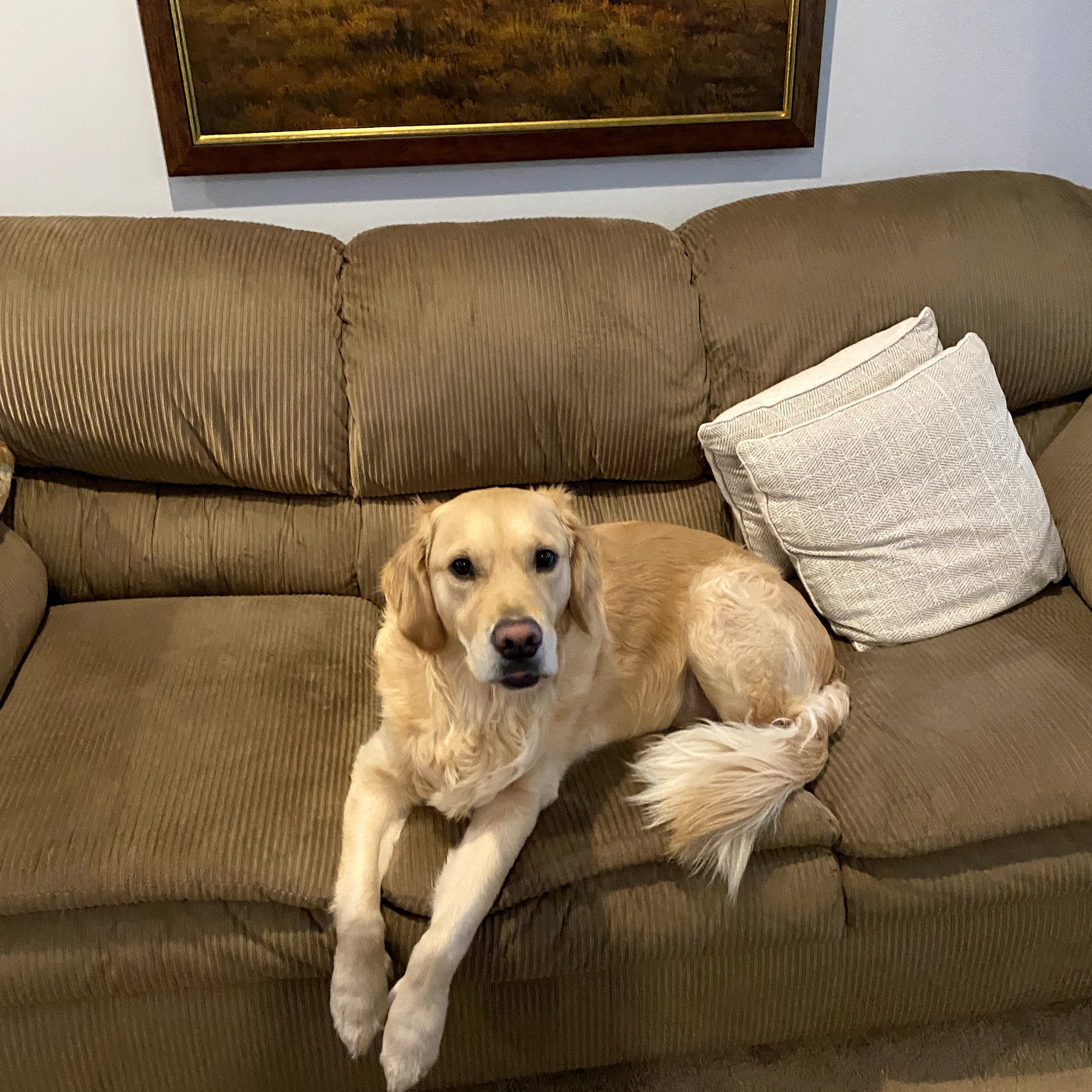 Coldwater Animal Hospital: Korte John M DVM Rochester