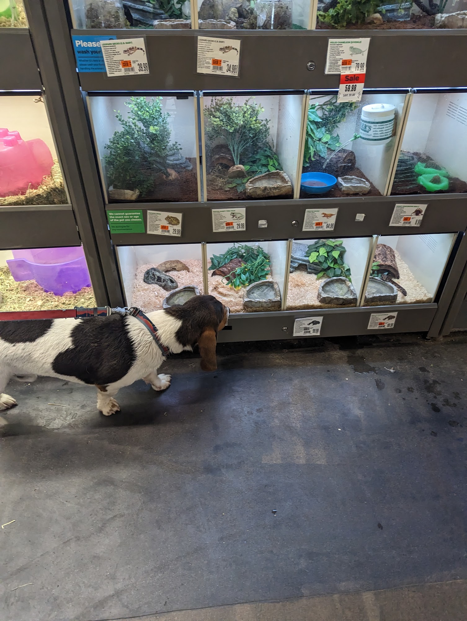 Pet Supplies Plus Chili Rochester