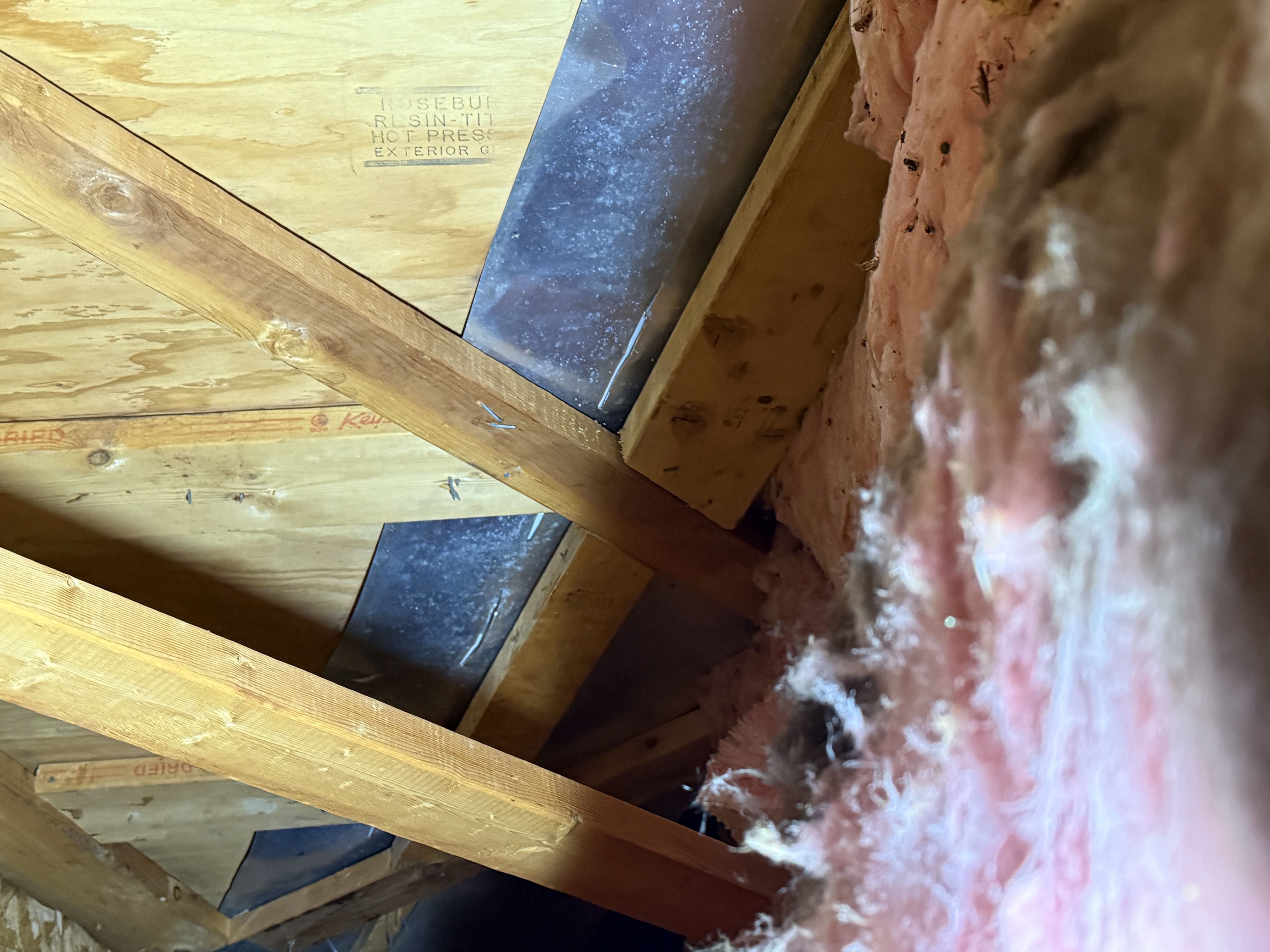 Photo credit: bestprosintown