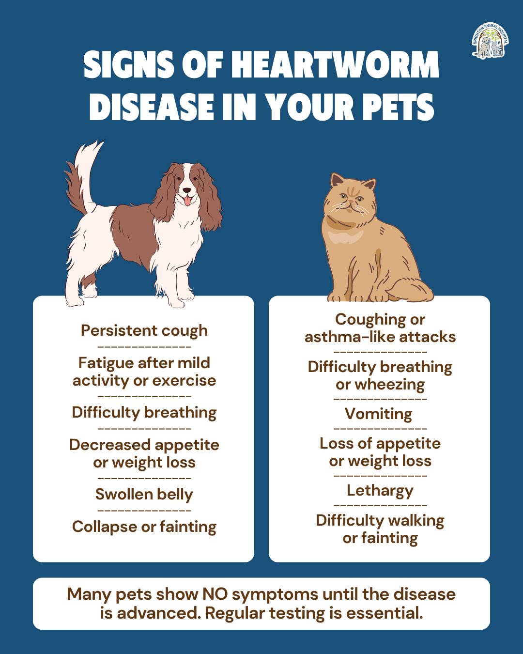Brighton Animal Hospital: Vamvakias Peter G DVM