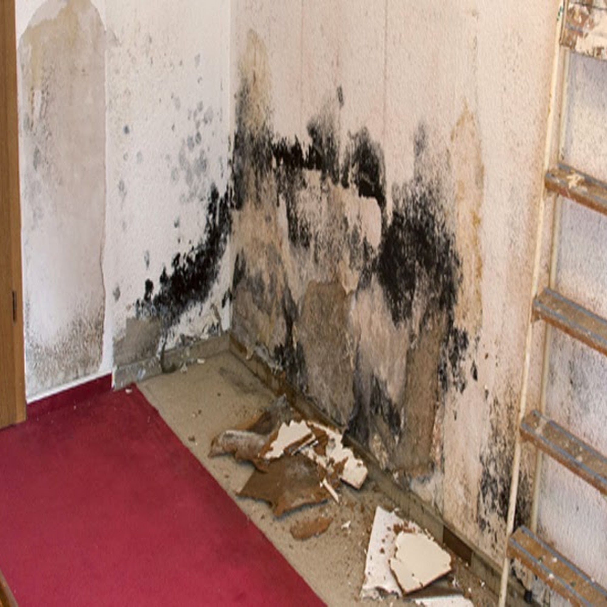 Specialized Cleaning And Flood Restoration Inc