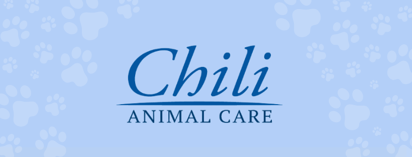 Chili Animal Care: Williamson J DVM Rochester