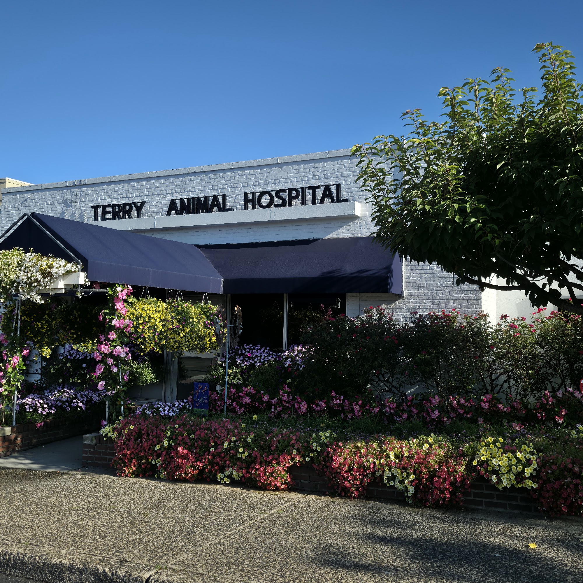 Terry Animal Hospital Rockville Centre