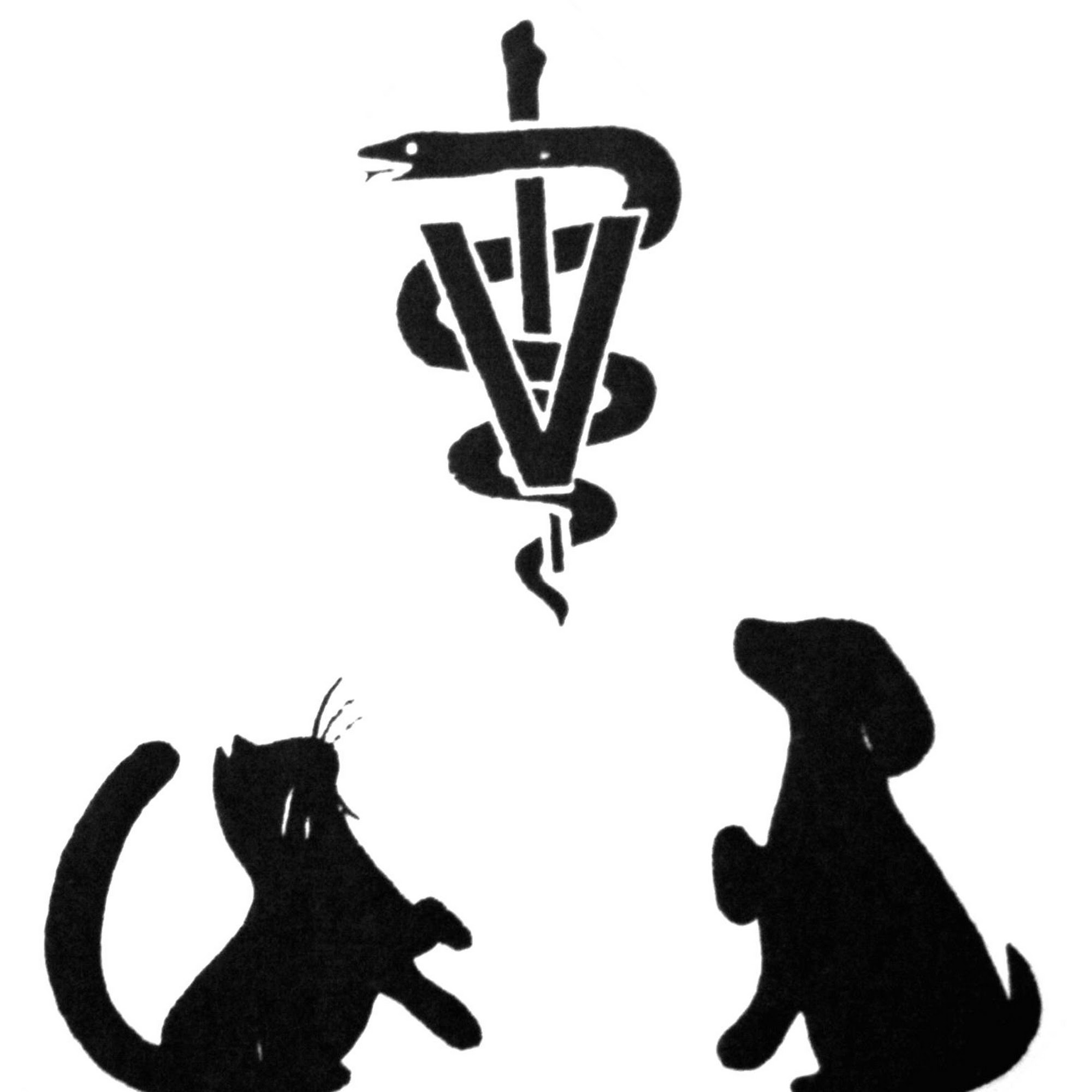 Rocky Shores Veterinary Hospital Rocky Point