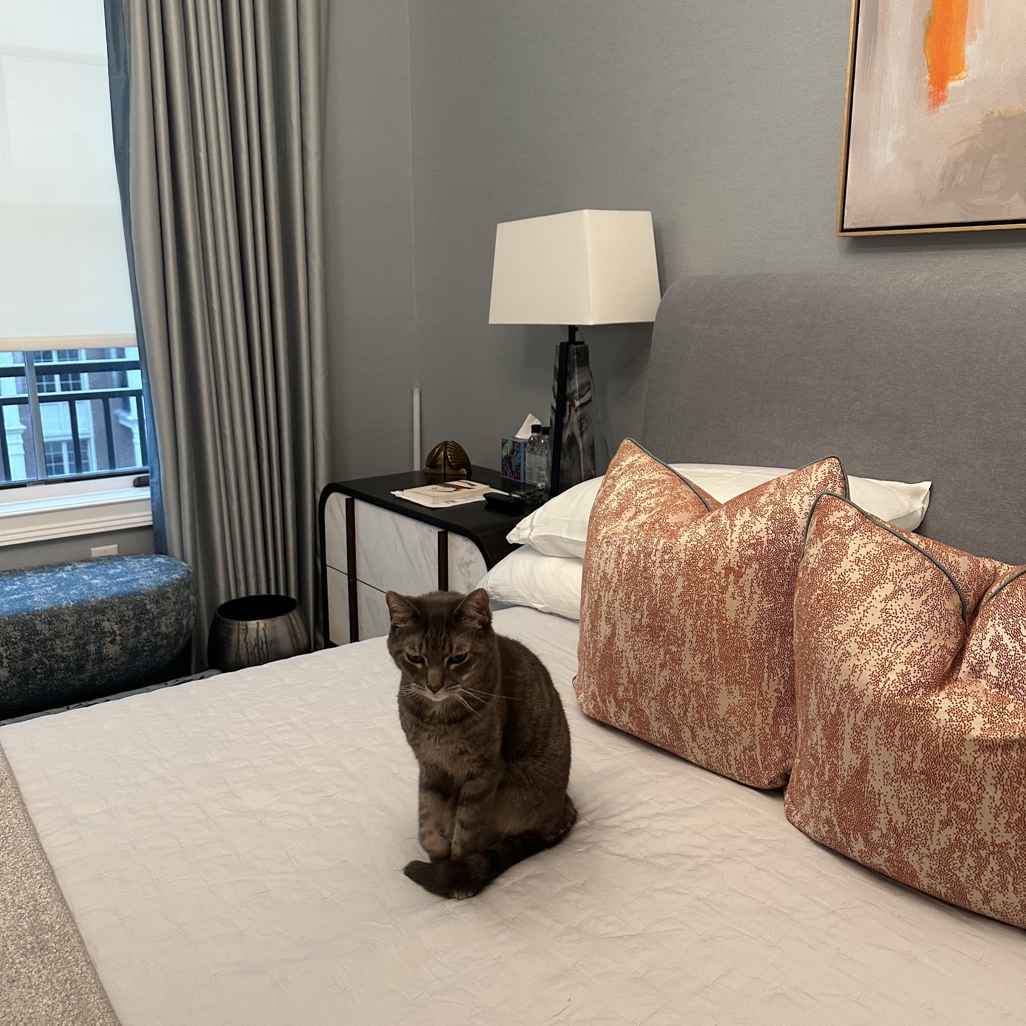 Roslyn Village Veterinarian Roslyn