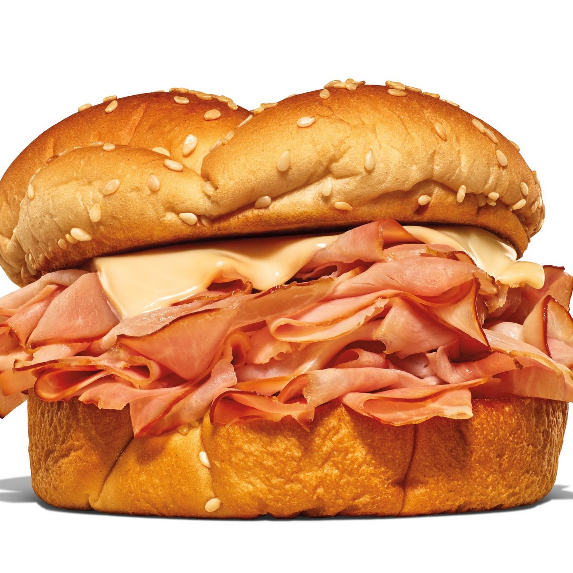 Arby's 1900 Altamont Ave, Rotterdam