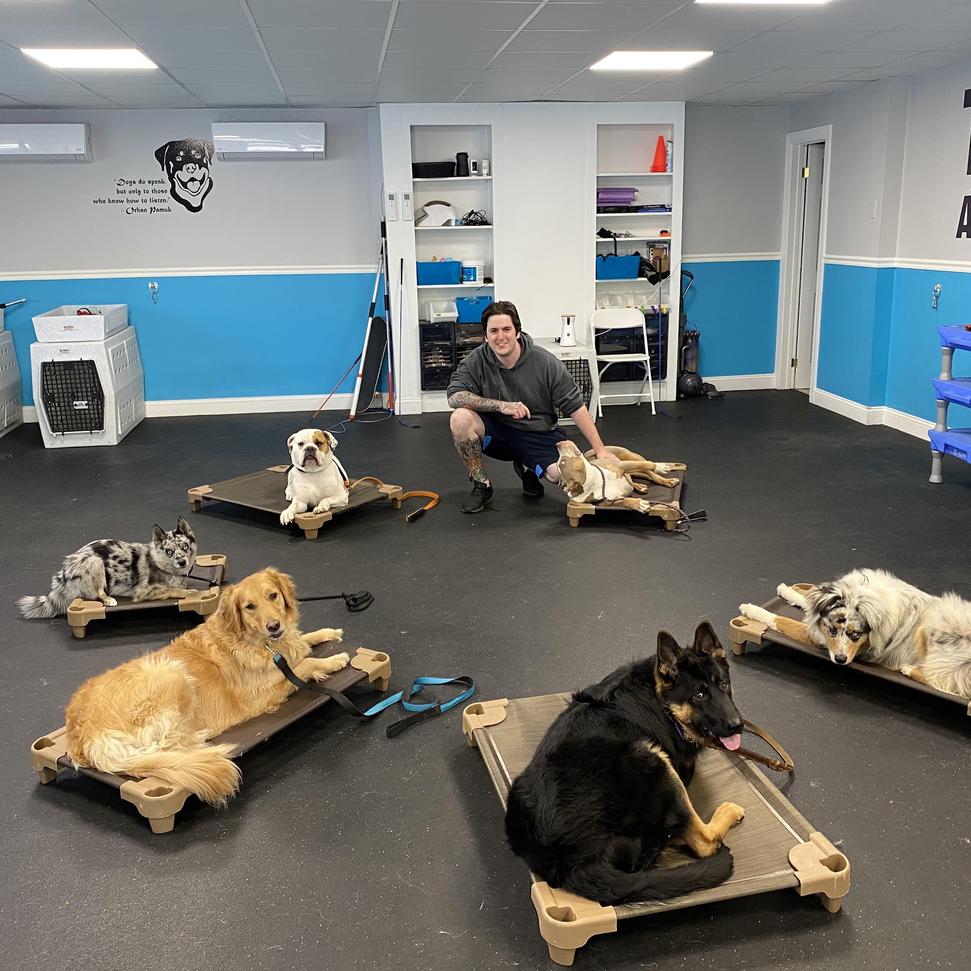 The Art Of K9 Dog Training & Behavior Modification 7 Rye Ridge Plaza #423, Rye Brook New York 10573