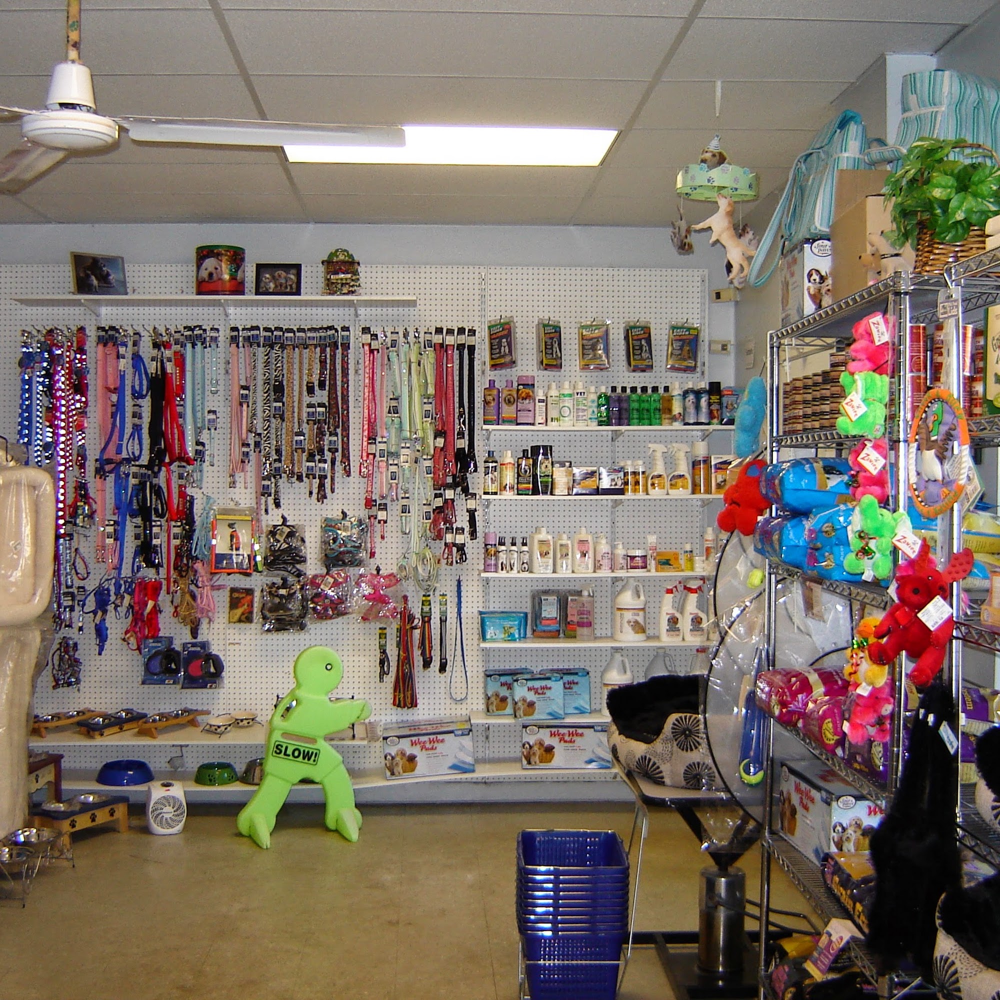 Terry's PAW-Fection Saint James