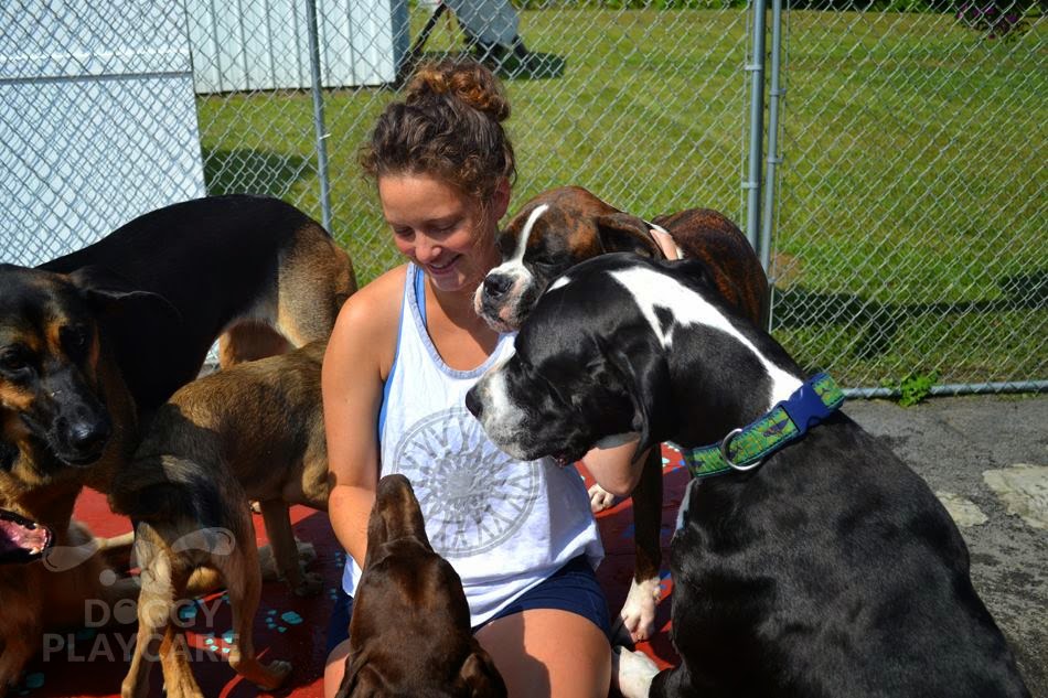 Doggy Playcare Saratoga Springs