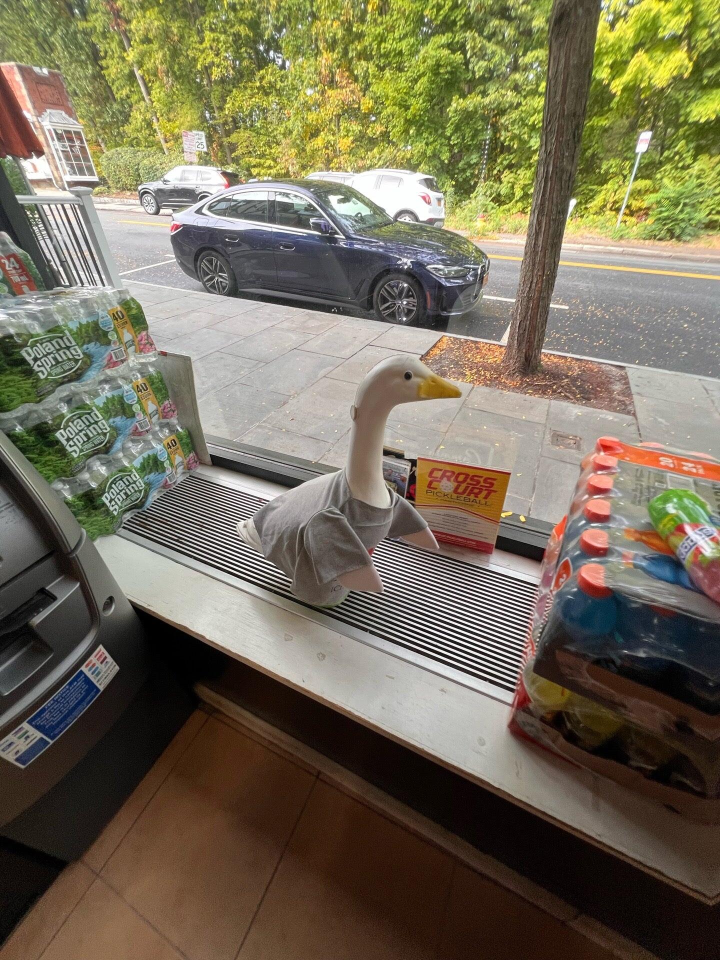 Photo credit: nextdoor