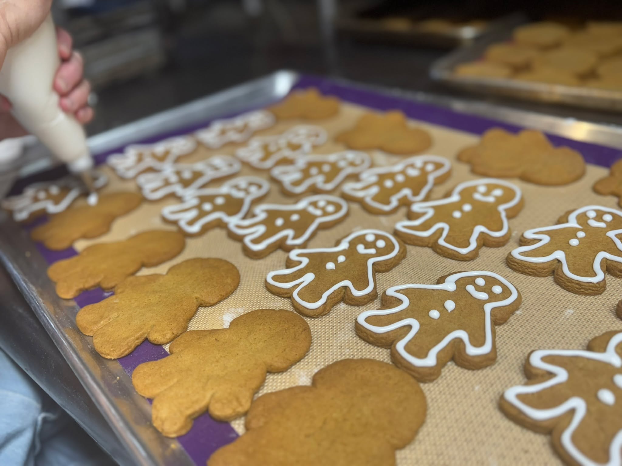 Hungry Chicken Country Store Schenectady