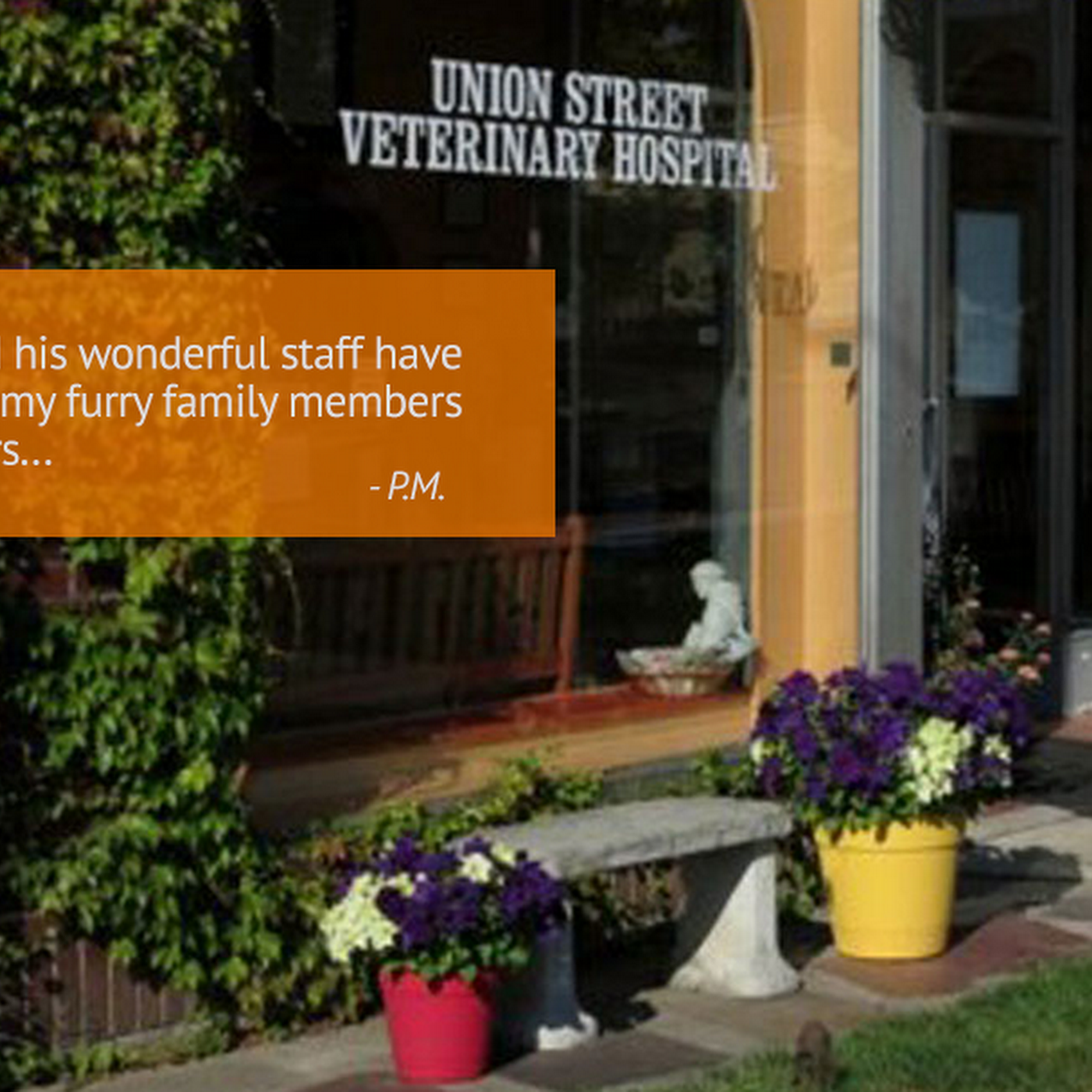 Union St Veterinary Hospital Schenectady