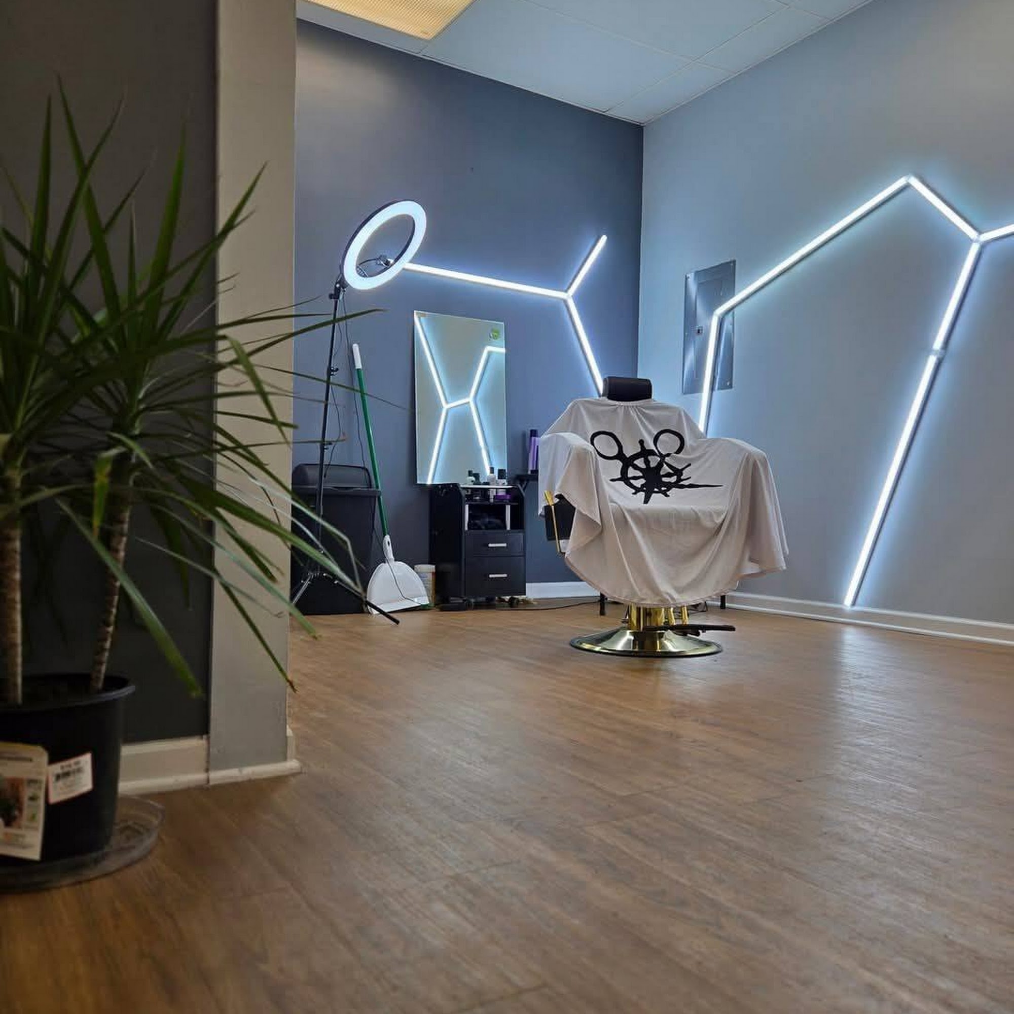 Veda Studios LLC 5 Lombard St, Schenectady New York 12304