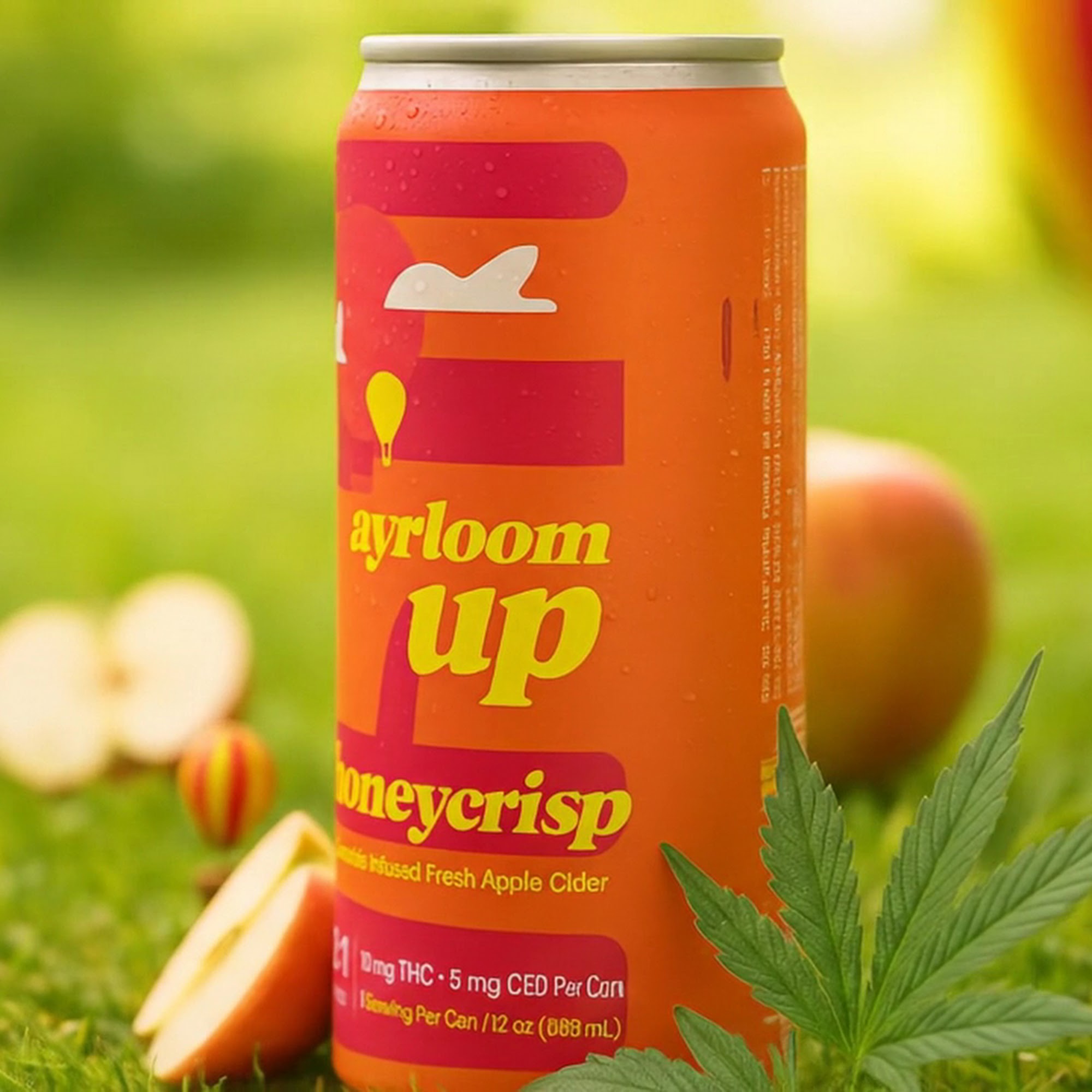 Capital District Cannabis & Wellness Schenectady Dispensary Schenectady