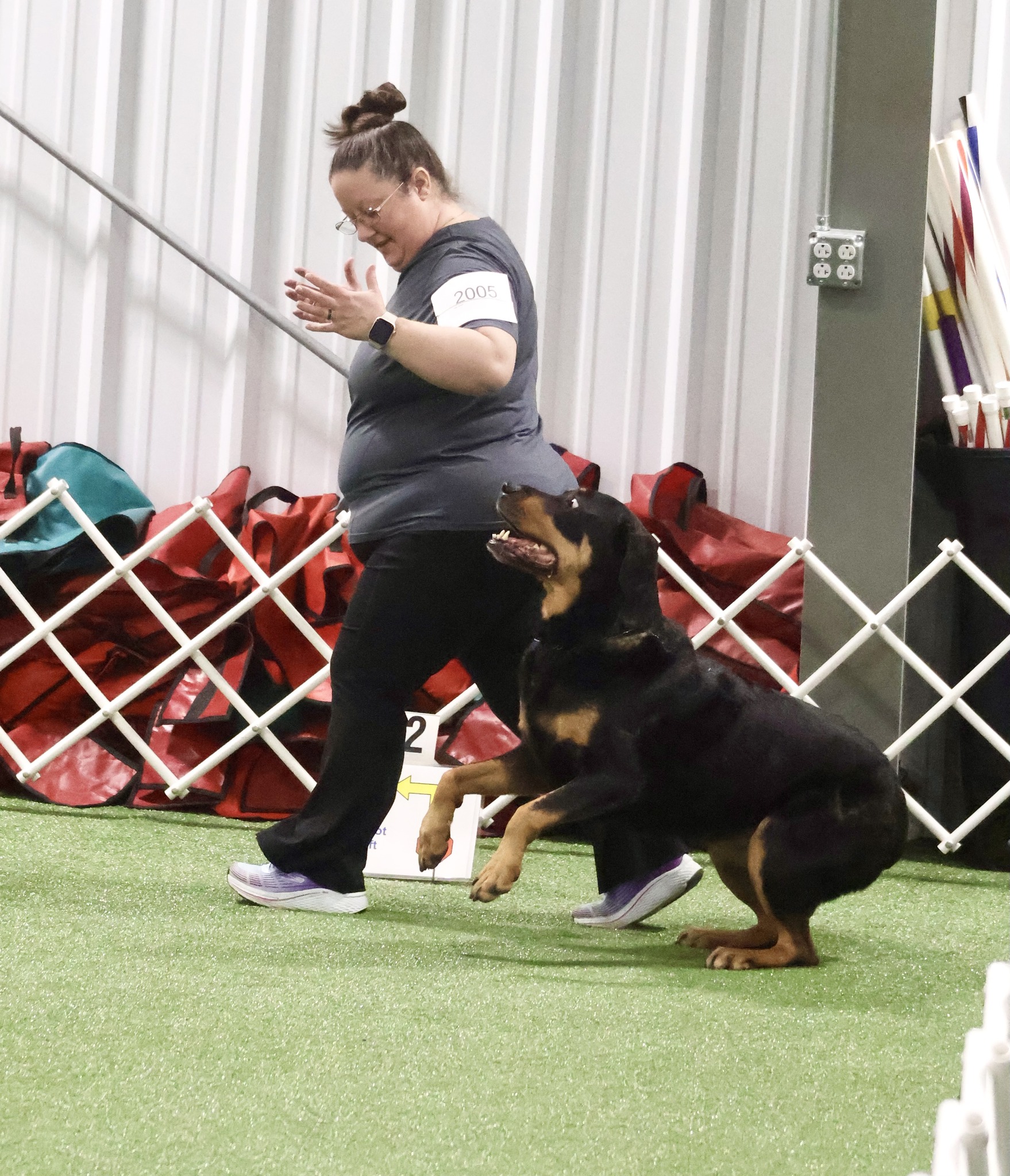 Schenectady Dog Training Club Scotia