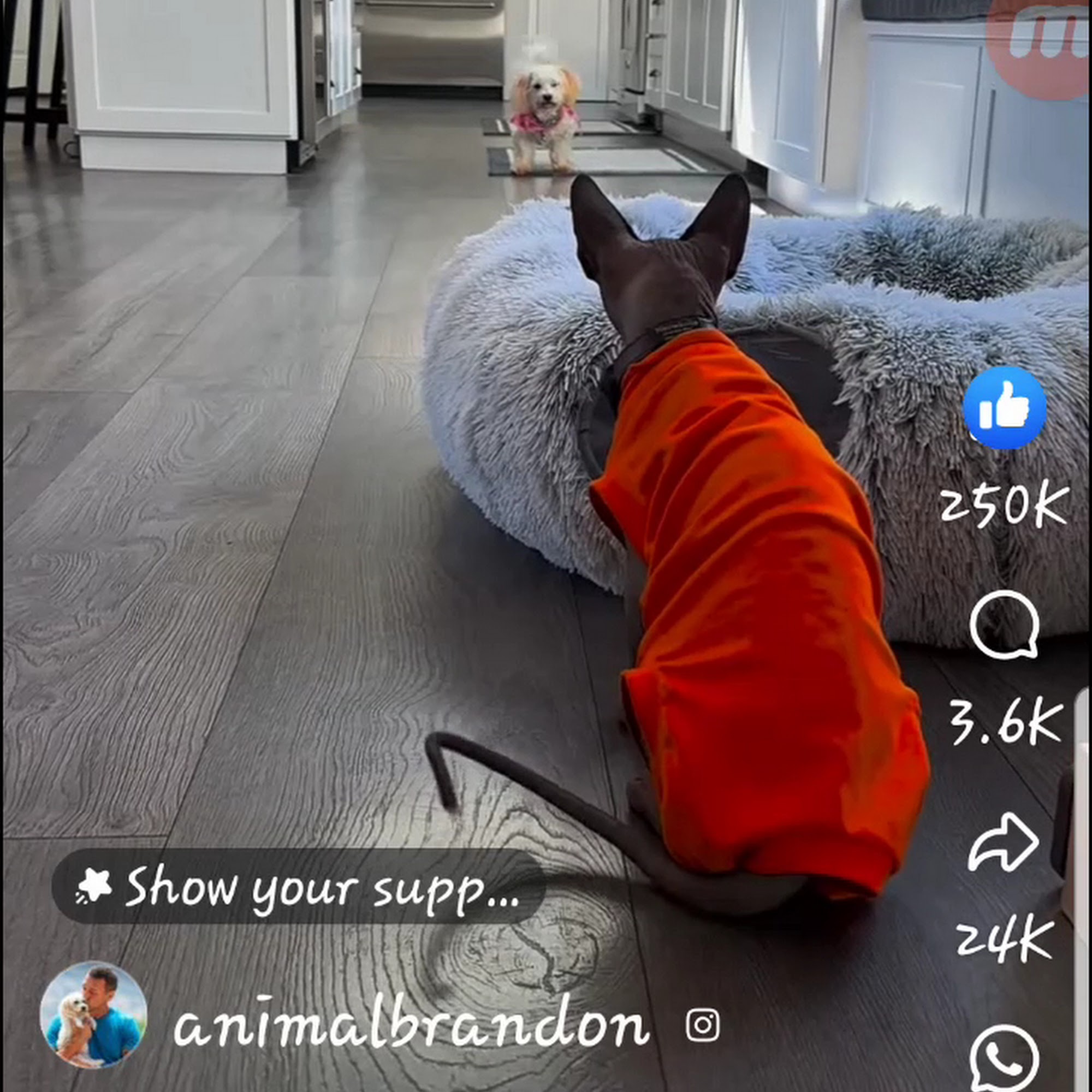 Riverside Veterinary Hospital Scottsville