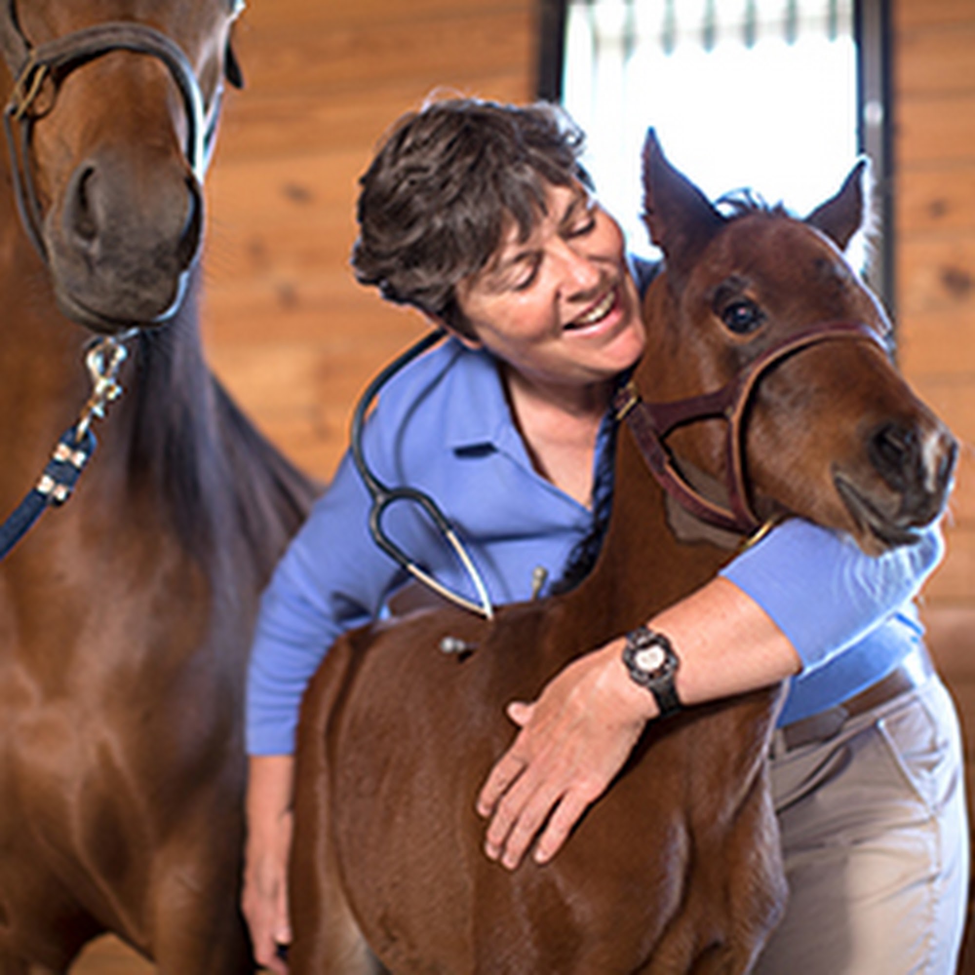 Genesee Valley Equine Clinic Scottsville