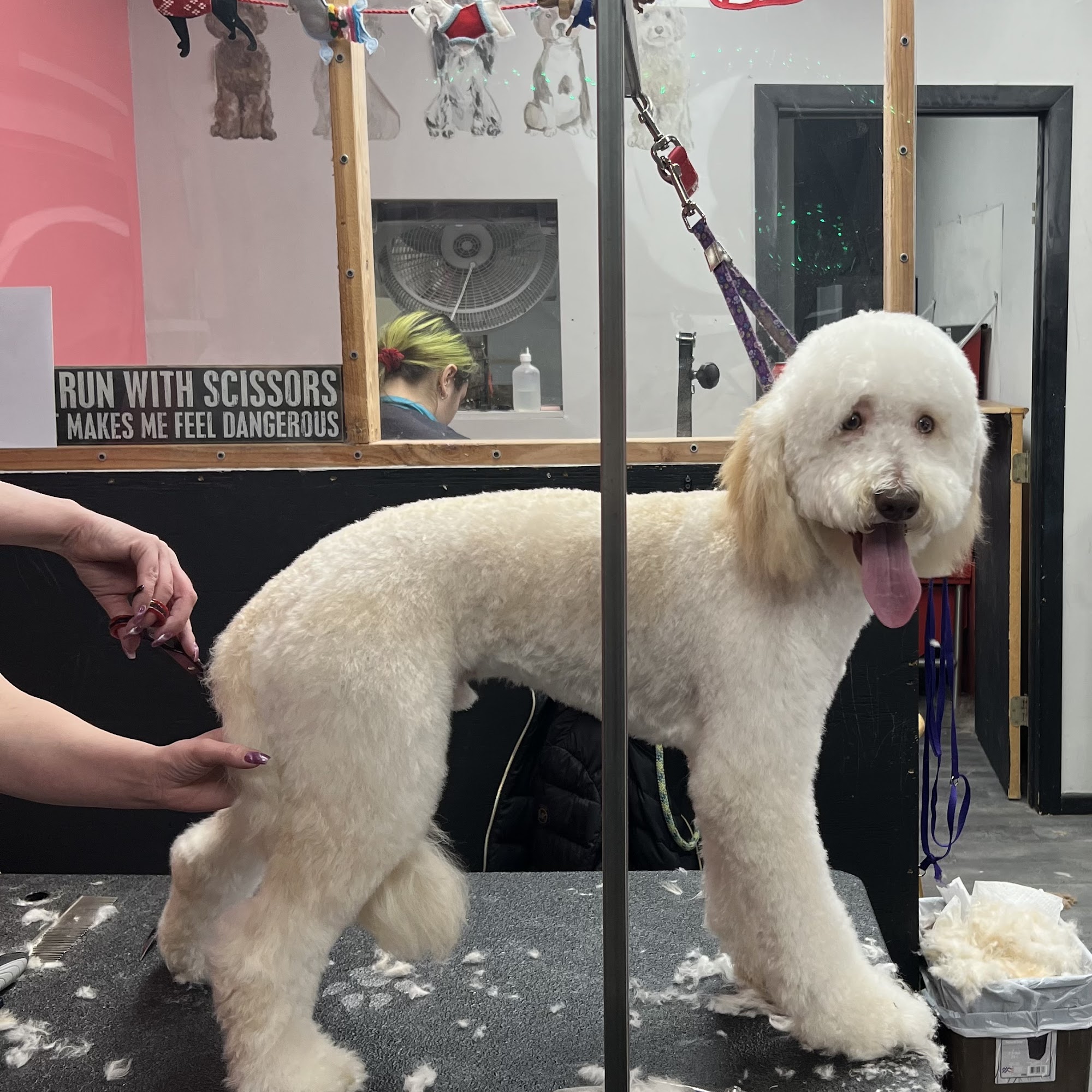 Tails R Wagon Smithtown