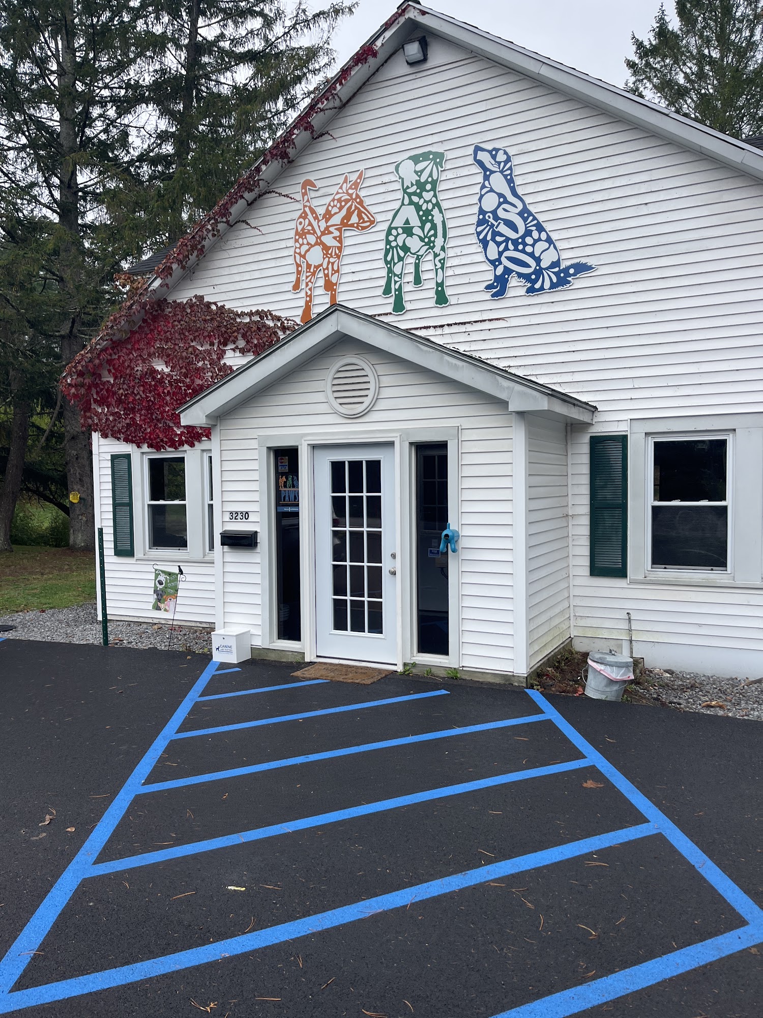 North Country Paws for Obedience South Glens Falls