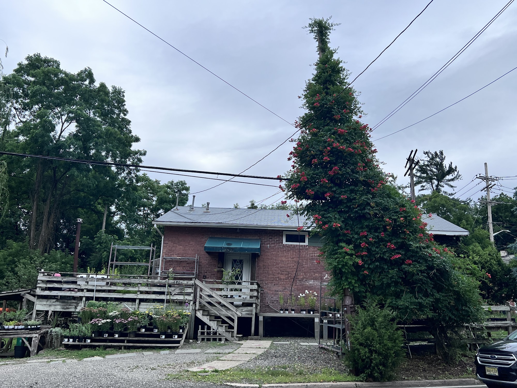 Arbor Hill Garden Center & Landscaping