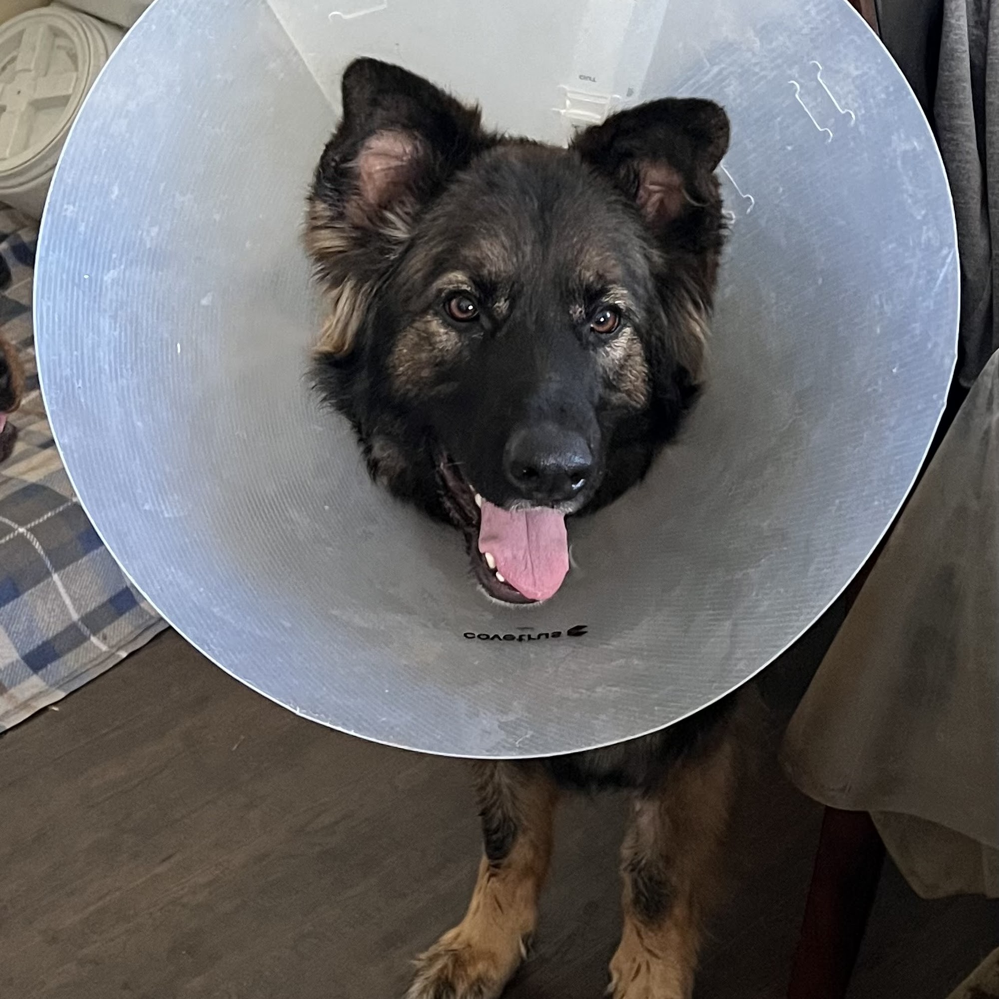 Erie Canal Animal Hospital Spencerport