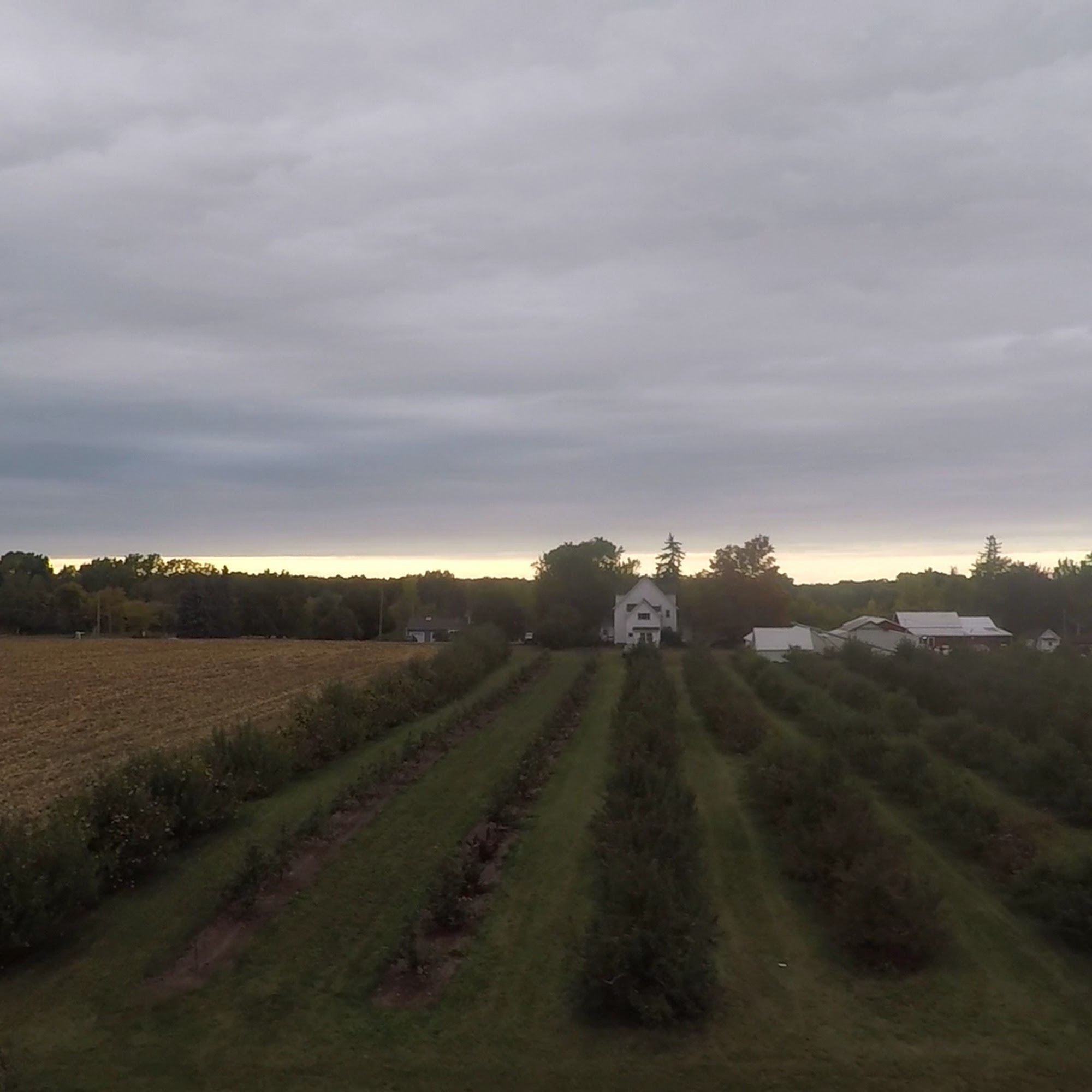 Robb Farms Spencerport