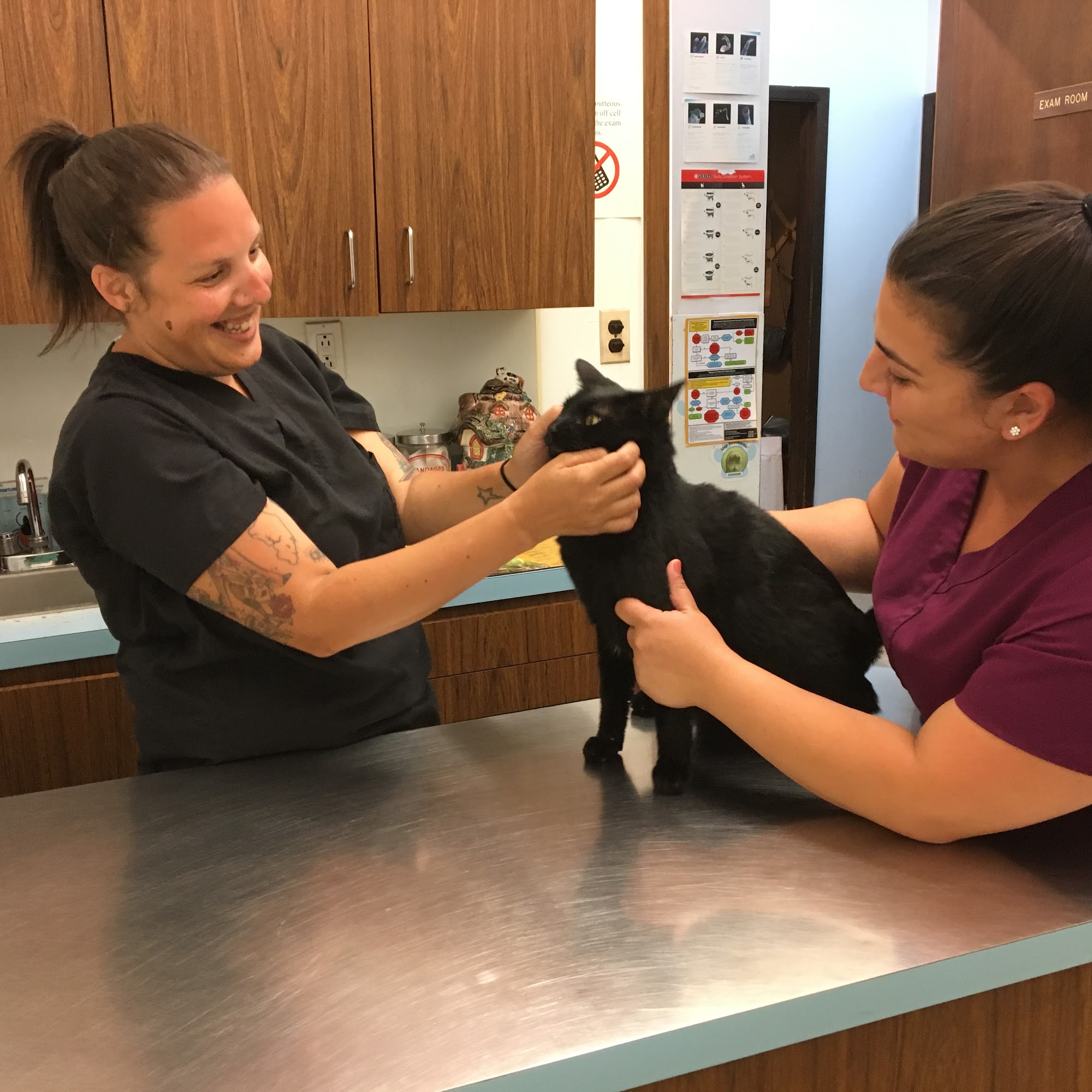 Annadale Veterinary Clinic Staten Island