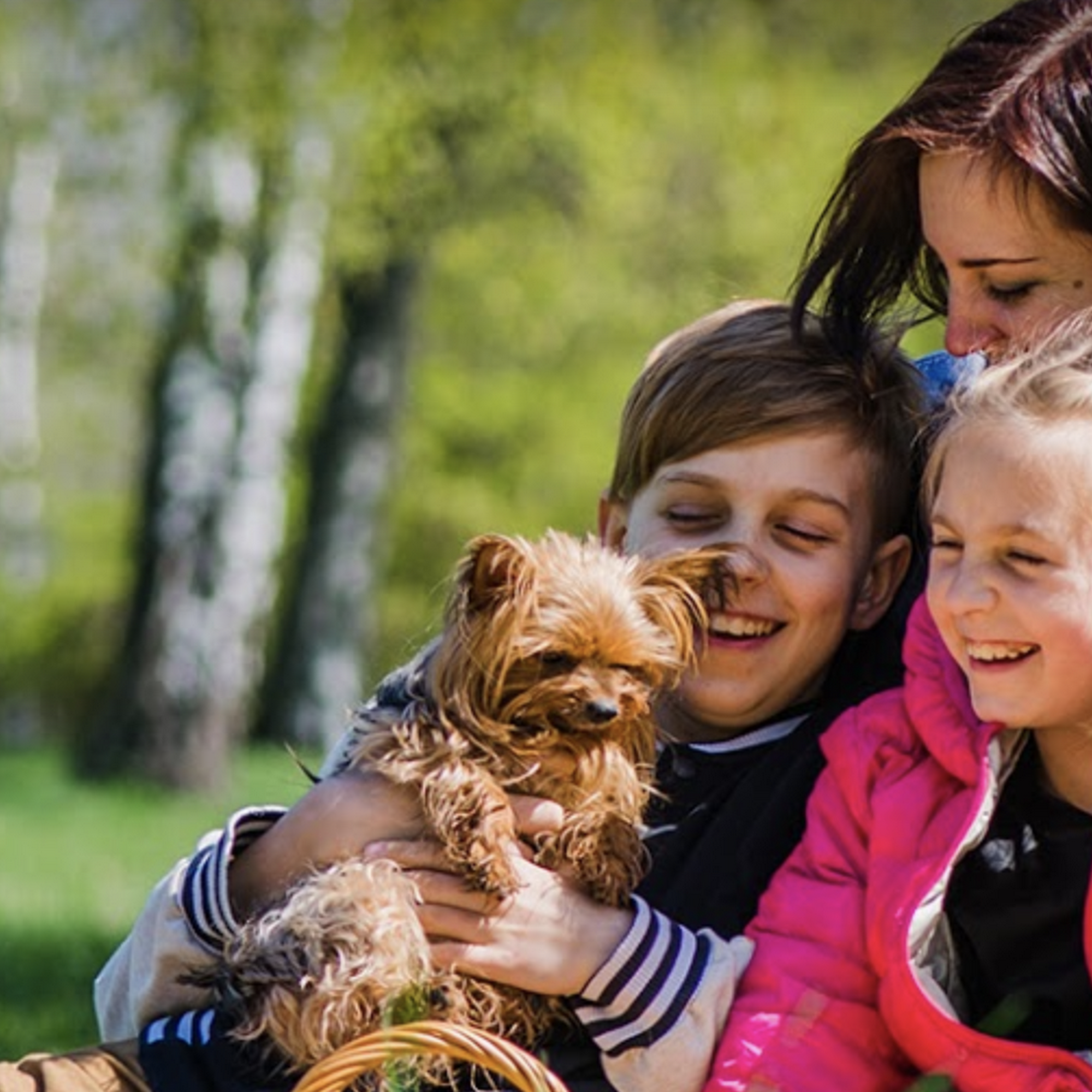 Animal Health Group on Castleton Ave Staten Island