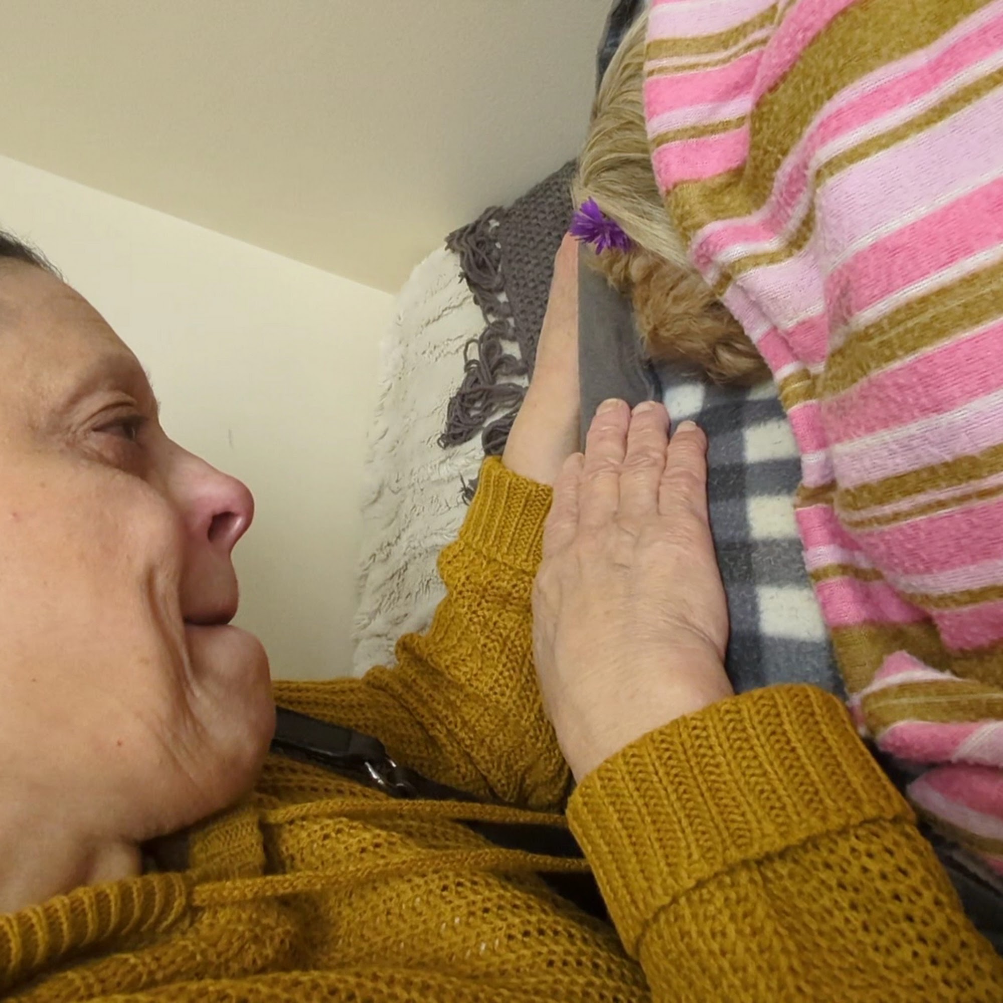 Forest Animal Hospital Staten Island