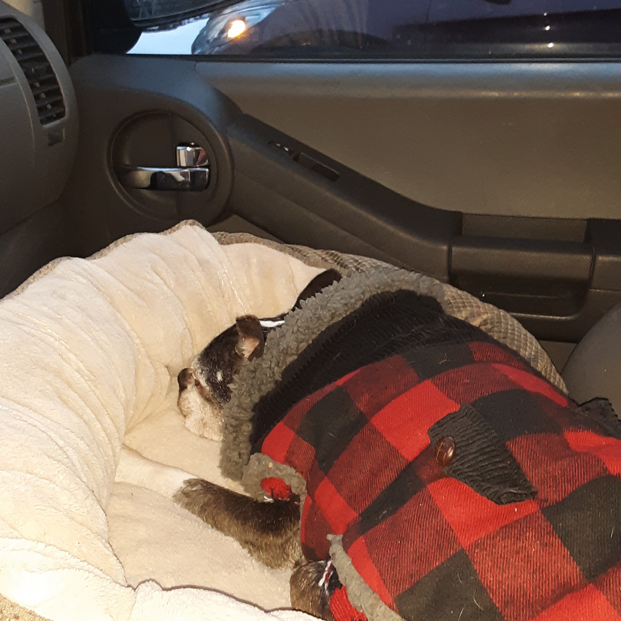 Stone Ridge Veterinary Clinic Stone Ridge