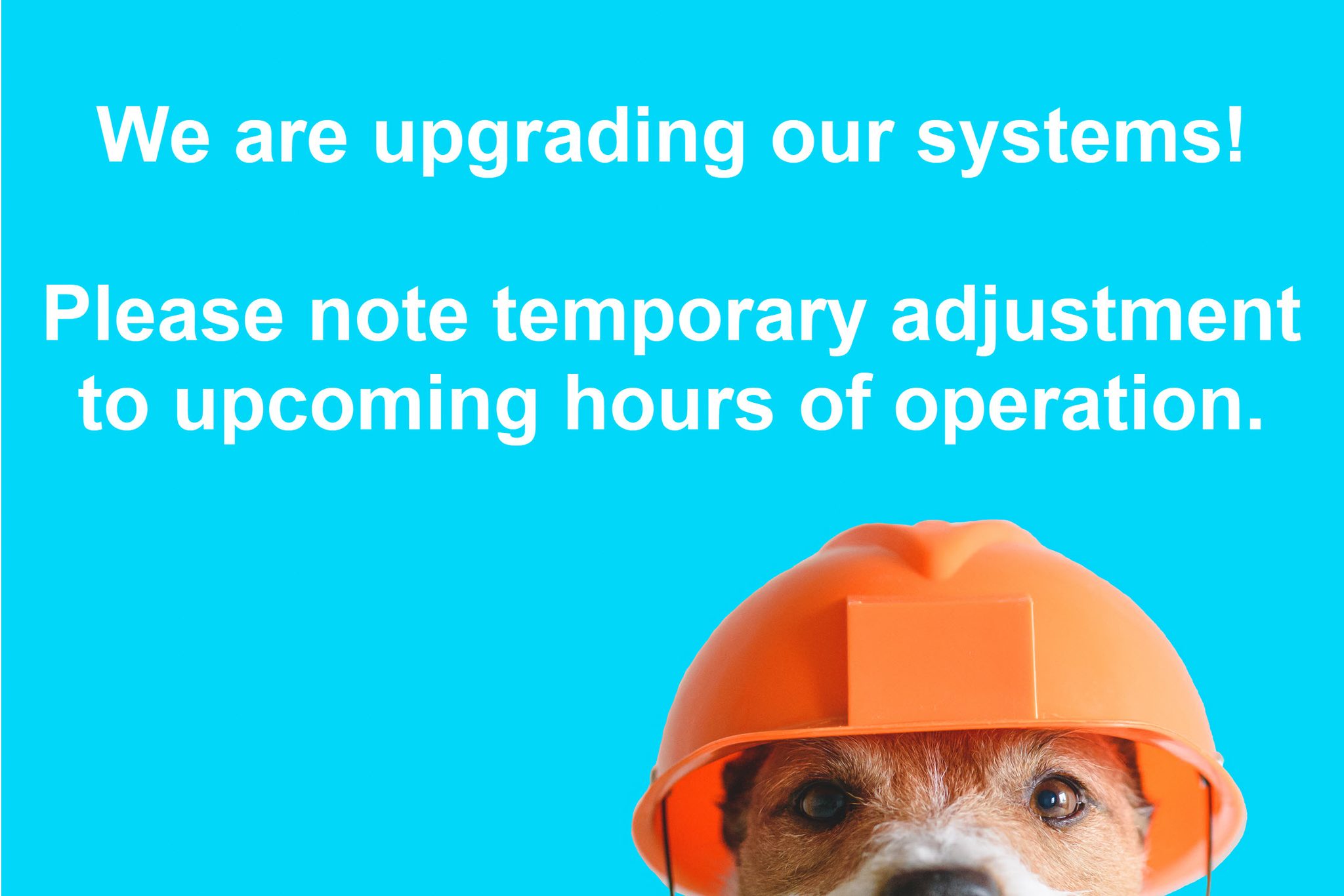 Stone Brook Area Veterinary Service Stony Brook