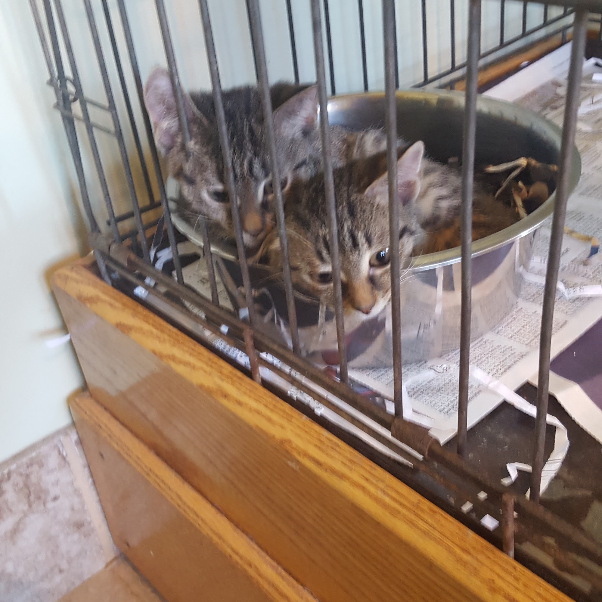 Suffern Animal Hospital Suffern