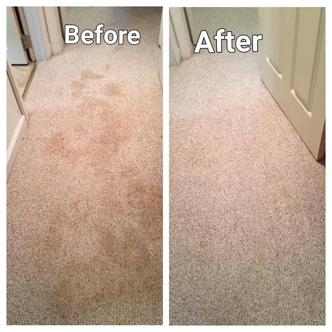 Mirror Floor Waxing Co