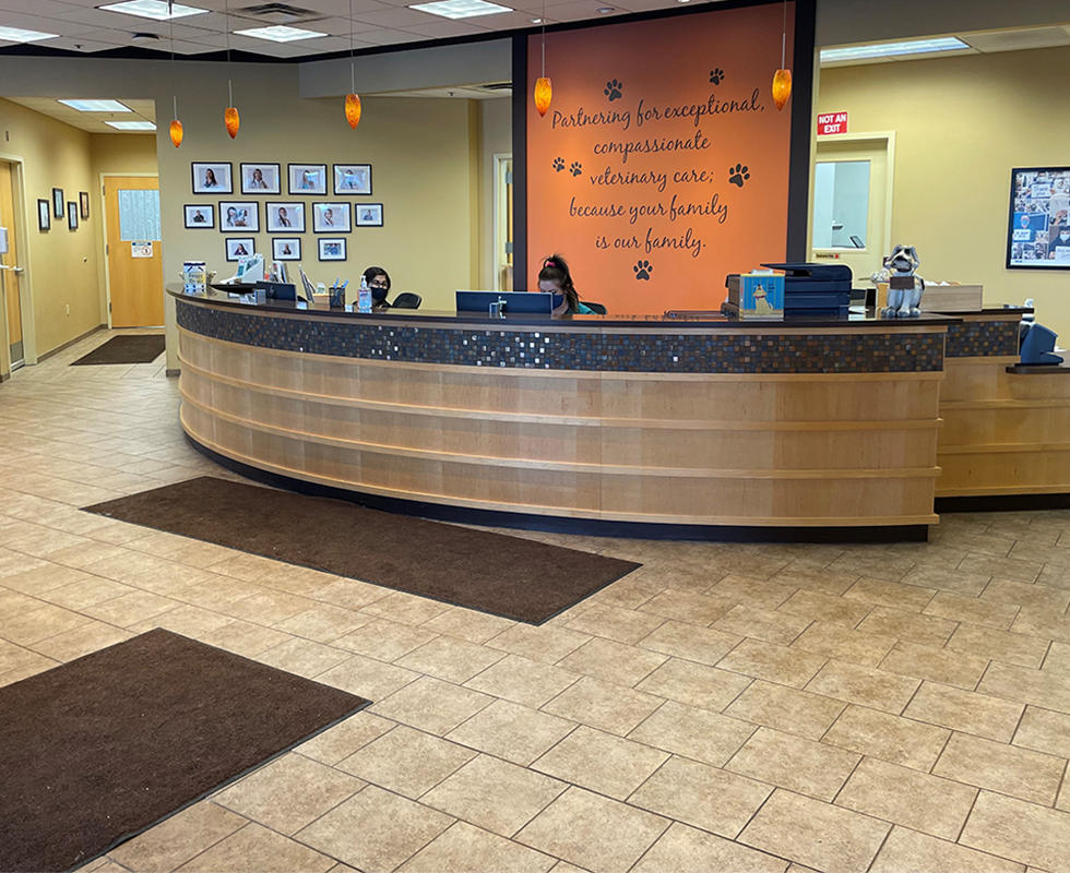 VCA Fairmount Animal Hospital Syracuse