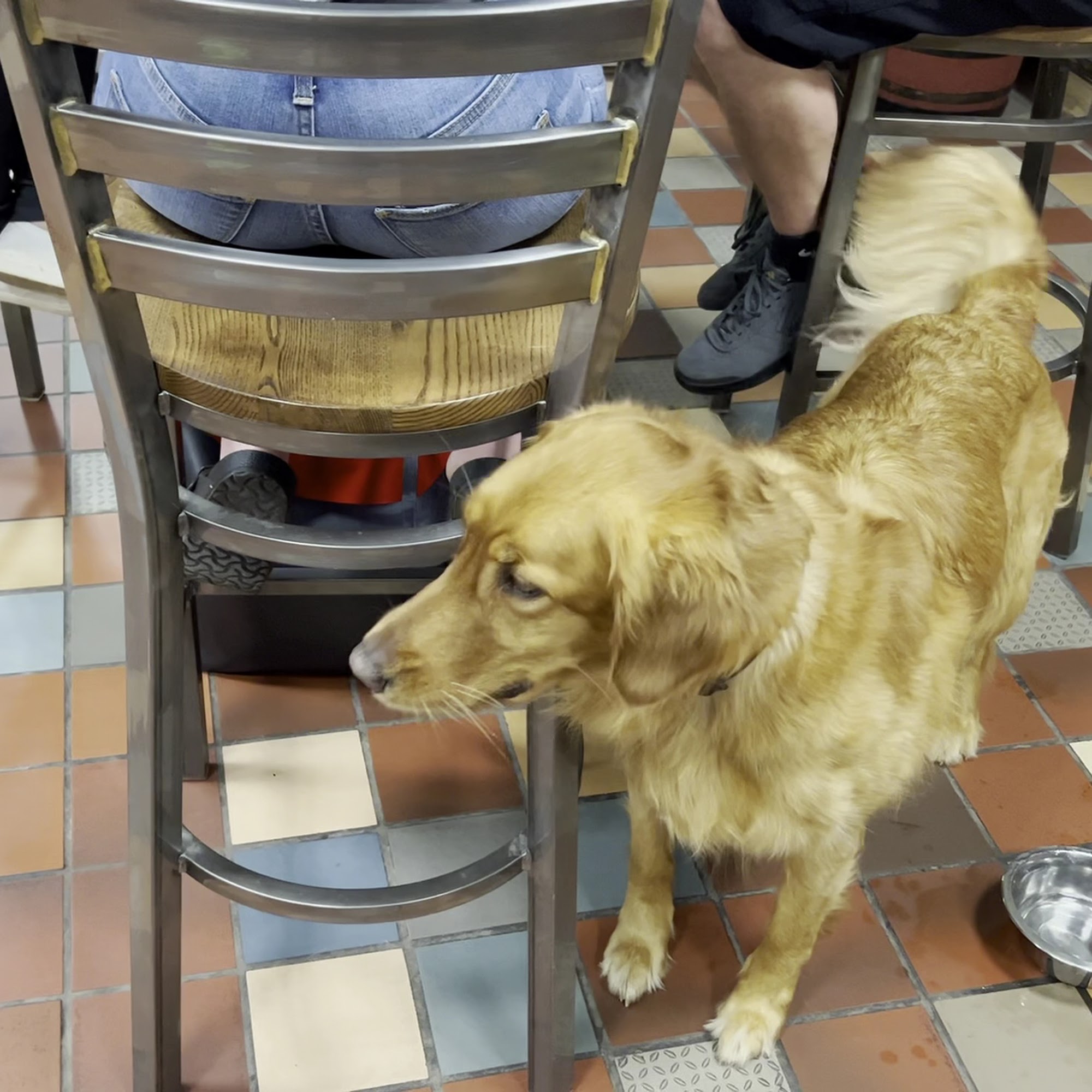 Willow Rock Brewing Company Syracuse