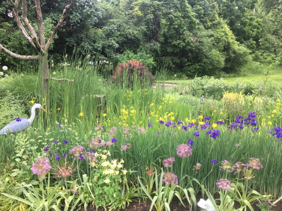 Green World Landscapes