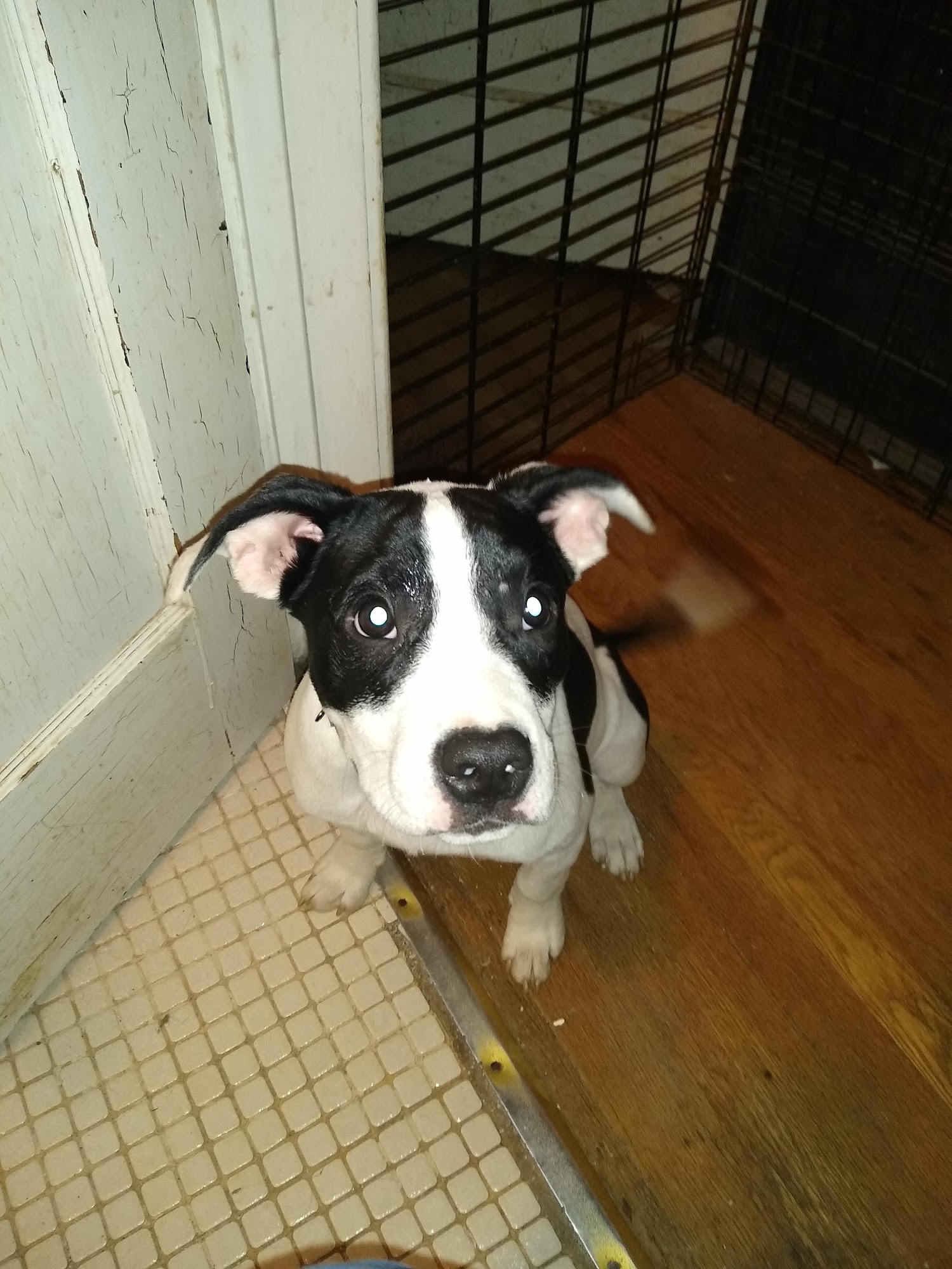 BnR Bunkhouse Shelter Syracuse