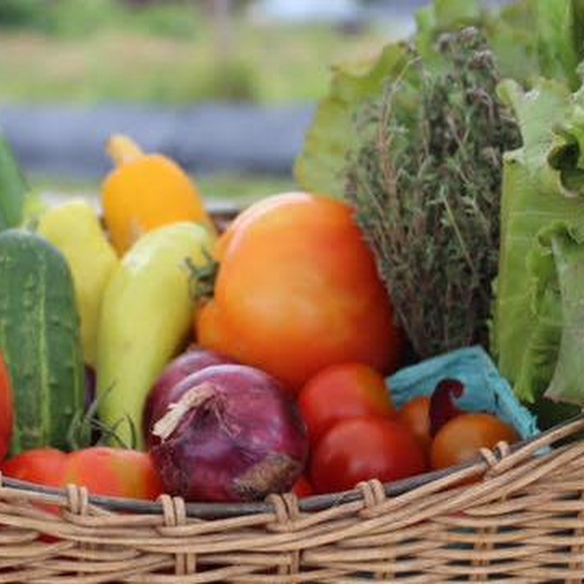 Plum & Mule Community Market Syracuse