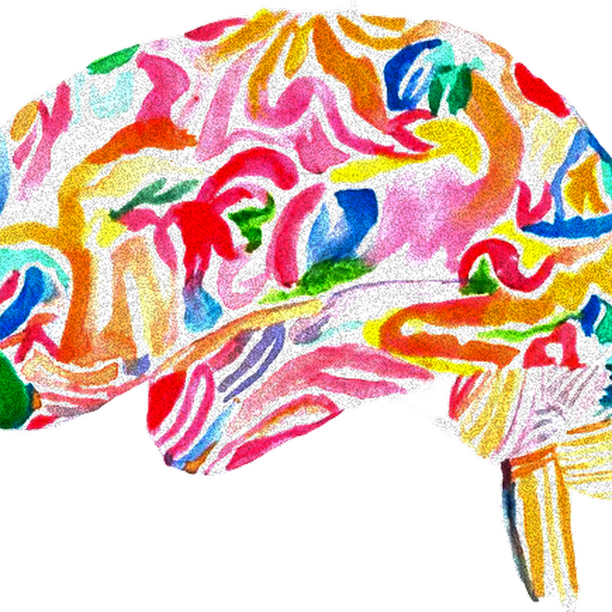 Engage Therapy and Wellness: Physical, Occupational, and Speech Therapy