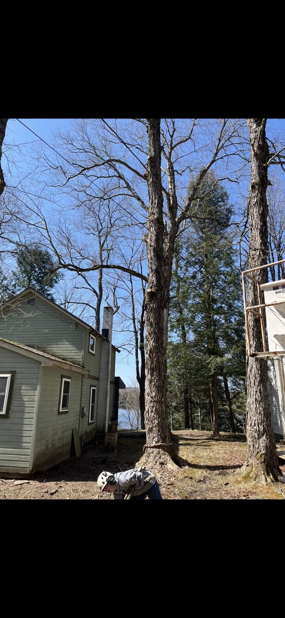 Megerell Tree Service & Excavating