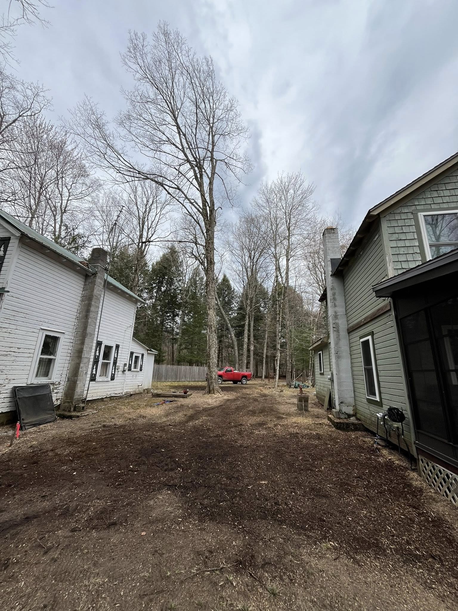 Megerell Tree Service & Excavating