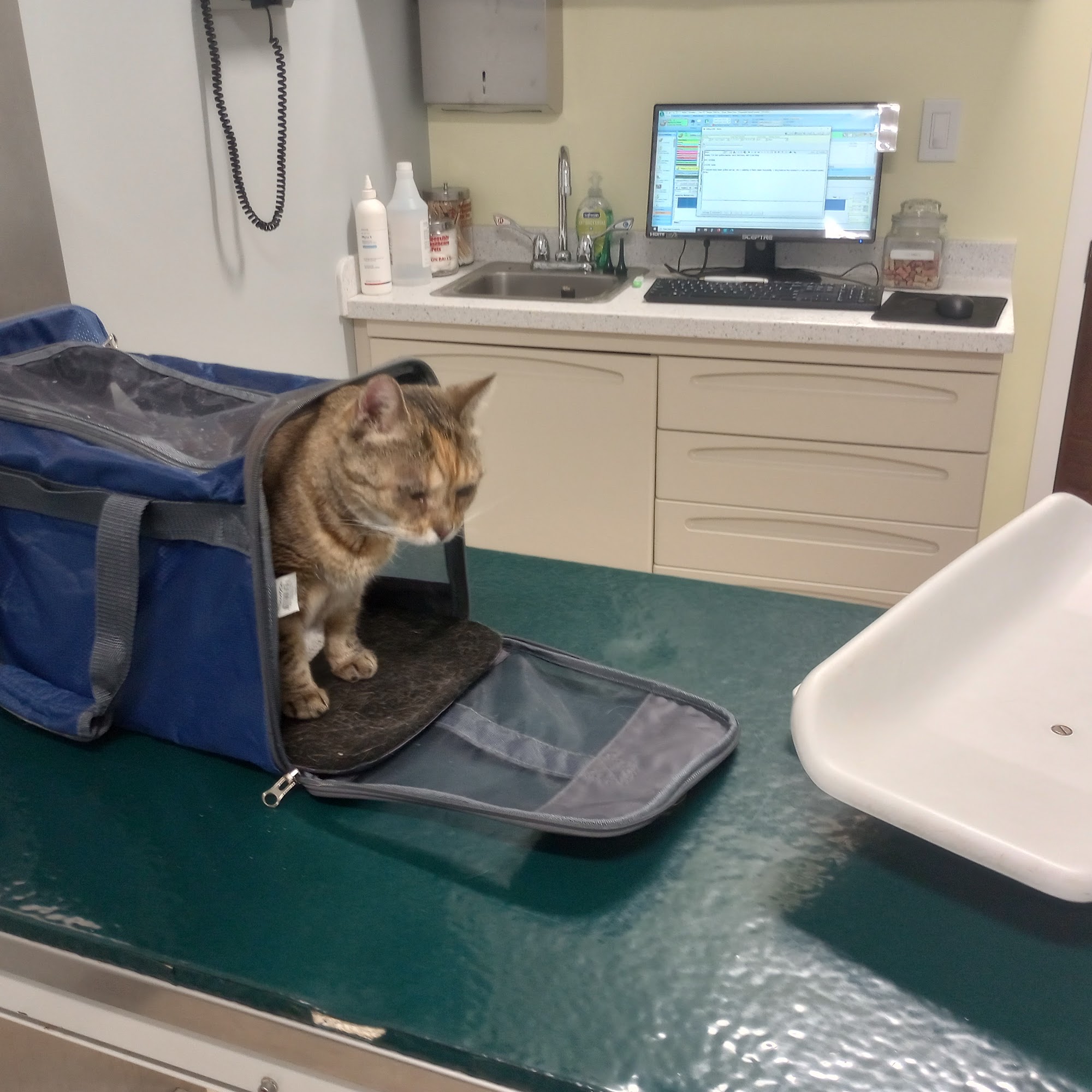 Pleasantville Animal Hospital Thornwood