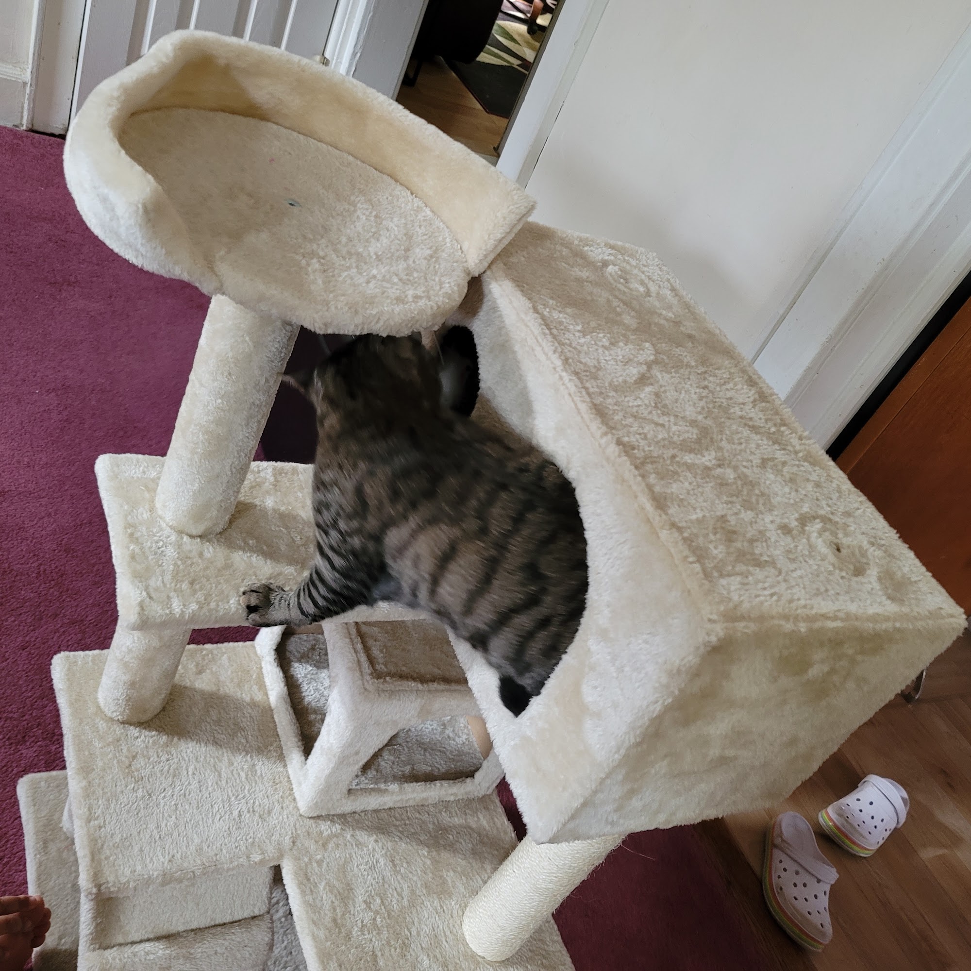 Thornwood Animal Hospital Thornwood