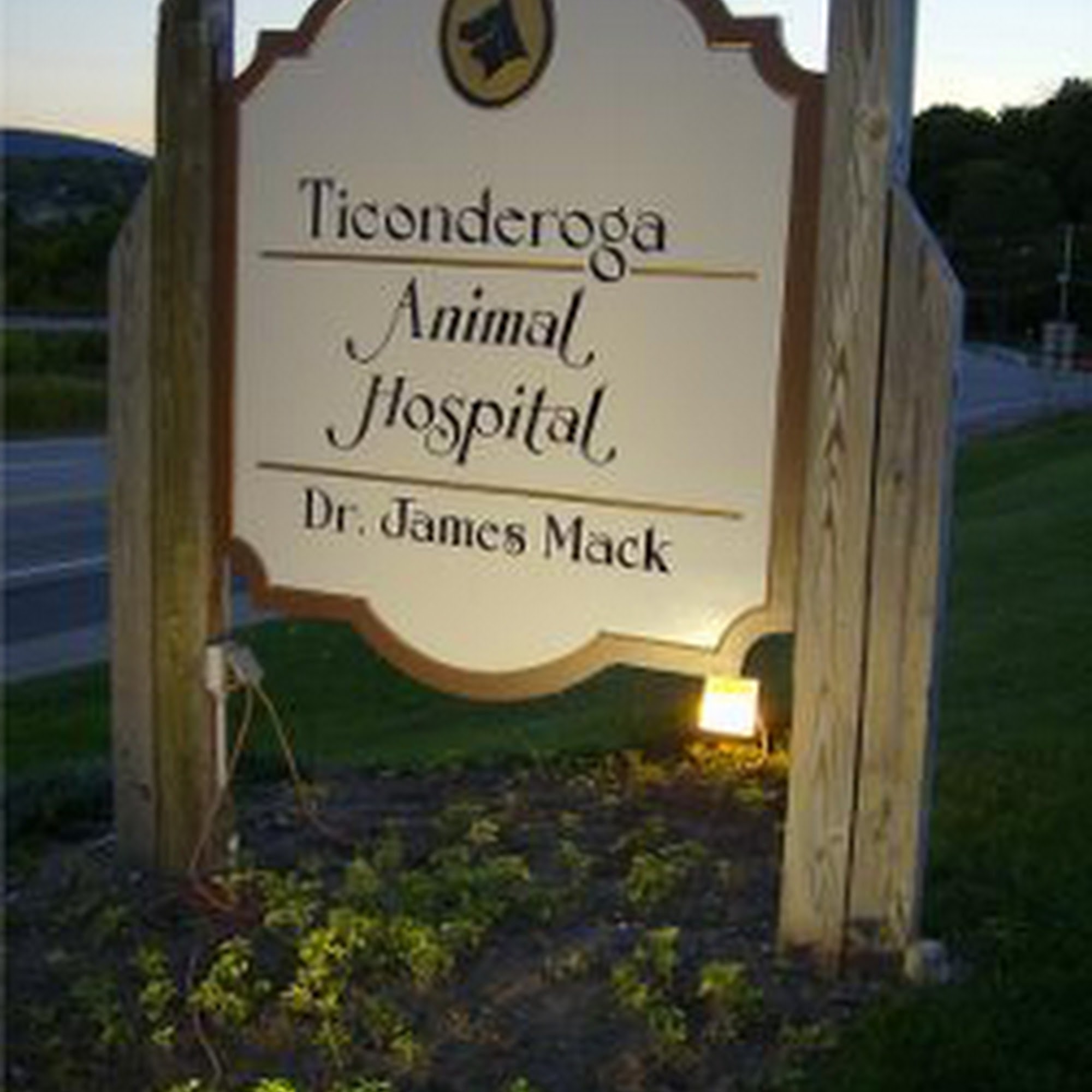 Ticonderoga Animal Hospital Ticonderoga