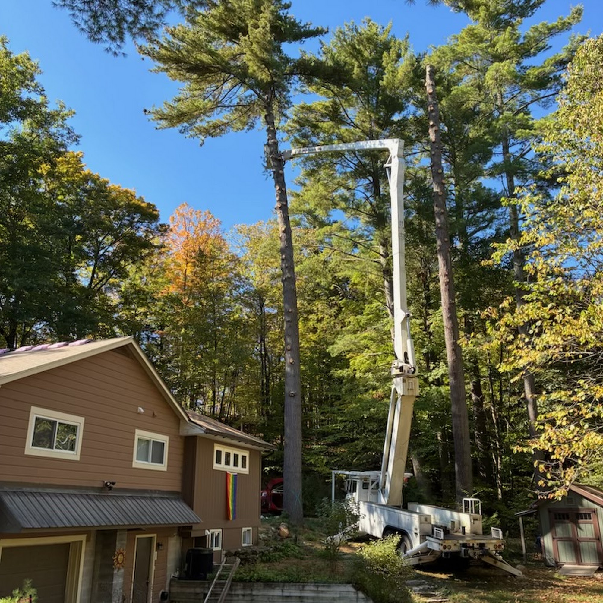 Dedrick Tree Removal 31 Dusty Ln, Ticonderoga New York 12883