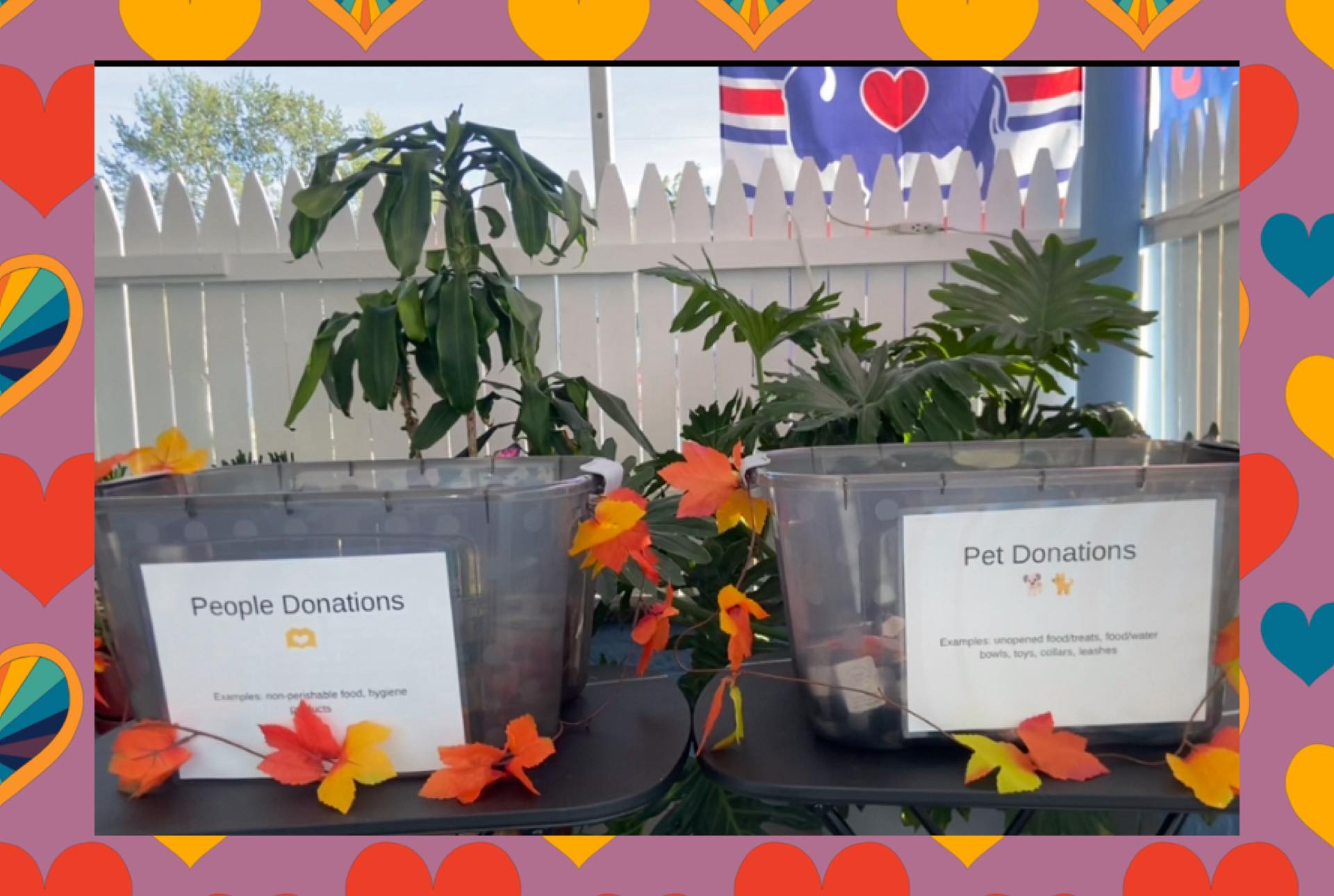 Sweetie Paws Tonawanda