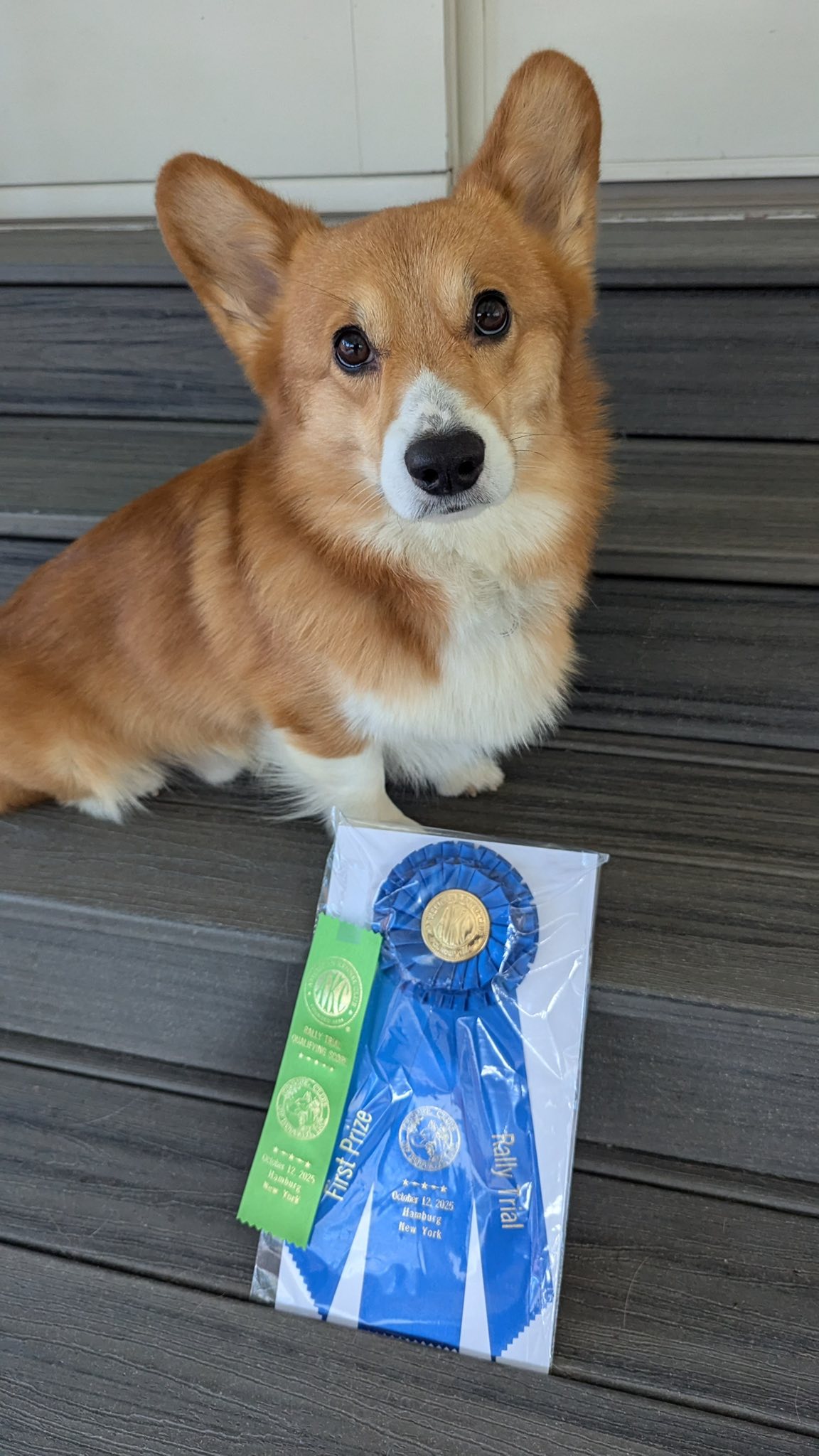 Western Lakes Training Corporation Tonawanda